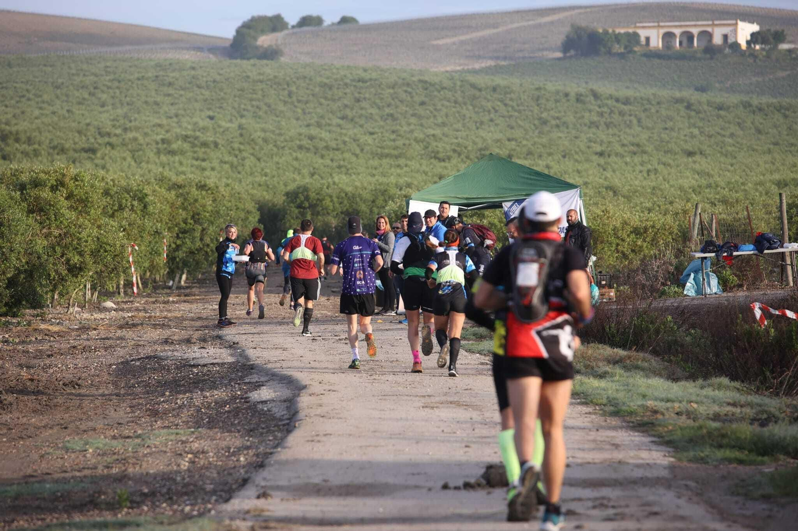 Imágenes de la V Sherry Maratón de Jerez