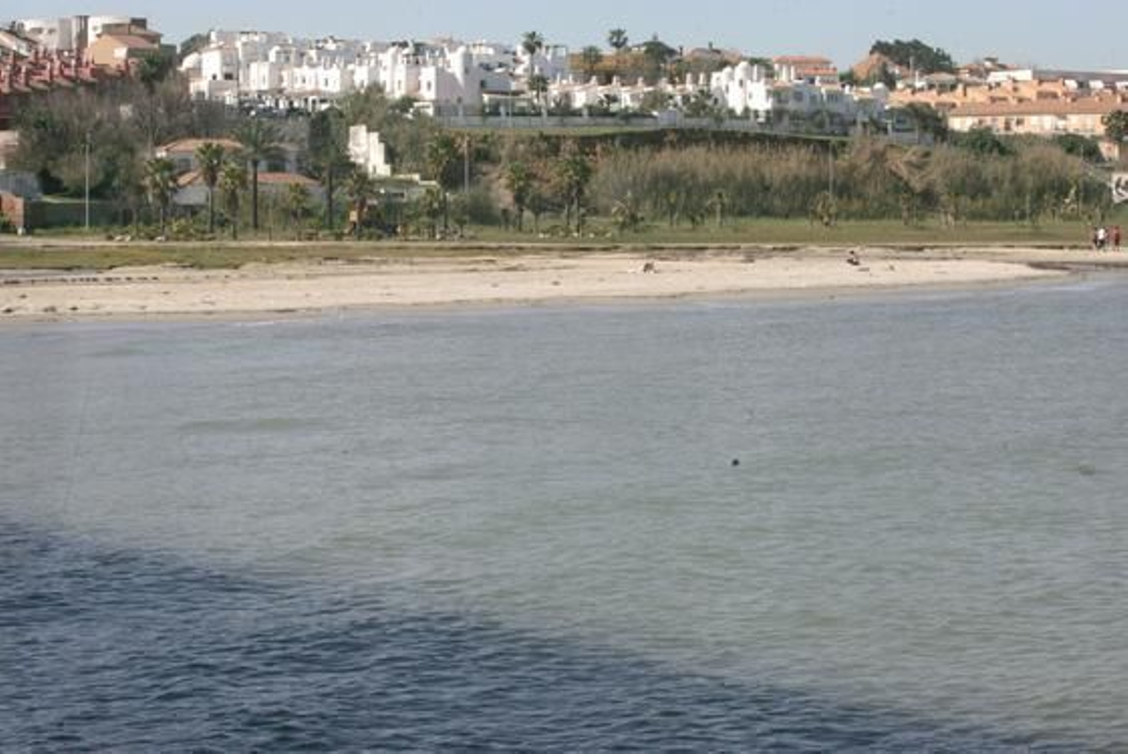 La marea histórica se vivió en las playas del Campo de Gibraltar con mucha espectación, sobre todo en la de Poniente de La Línea y El Rinconcillo de Algeciras./Fotos:Paco Guerrero/Shus Terán/J.M.Quiñones

Foto: Paco Guerrero/J.M.Q./Shus Teran/