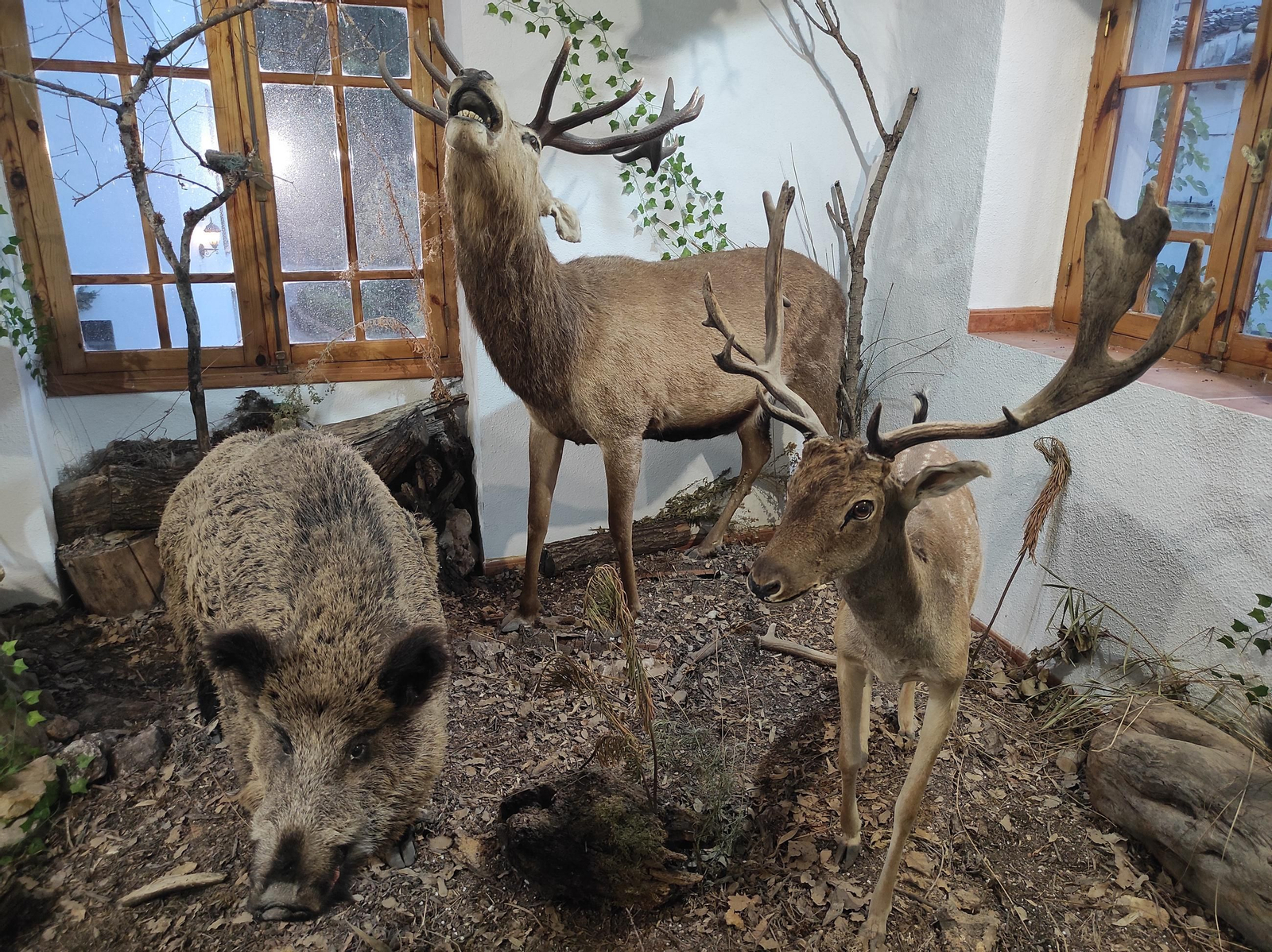 'Frondosa Naturaleza': el lugar perfecto para conocer la fauna y flora de Cazorla a dos pasos del centro