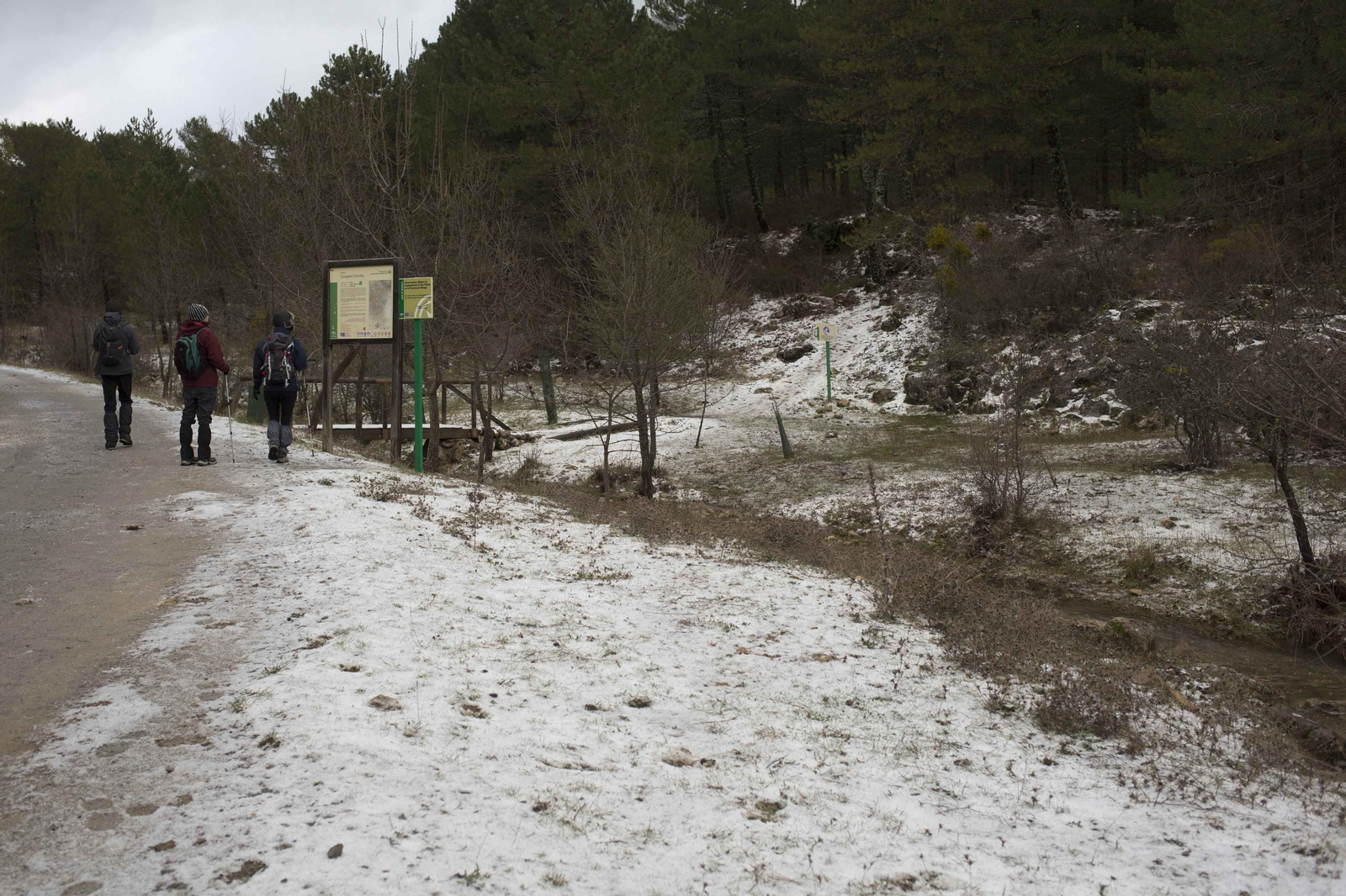 Las imágenes de la primera nevada del invierno en la Sierra de las Nieves