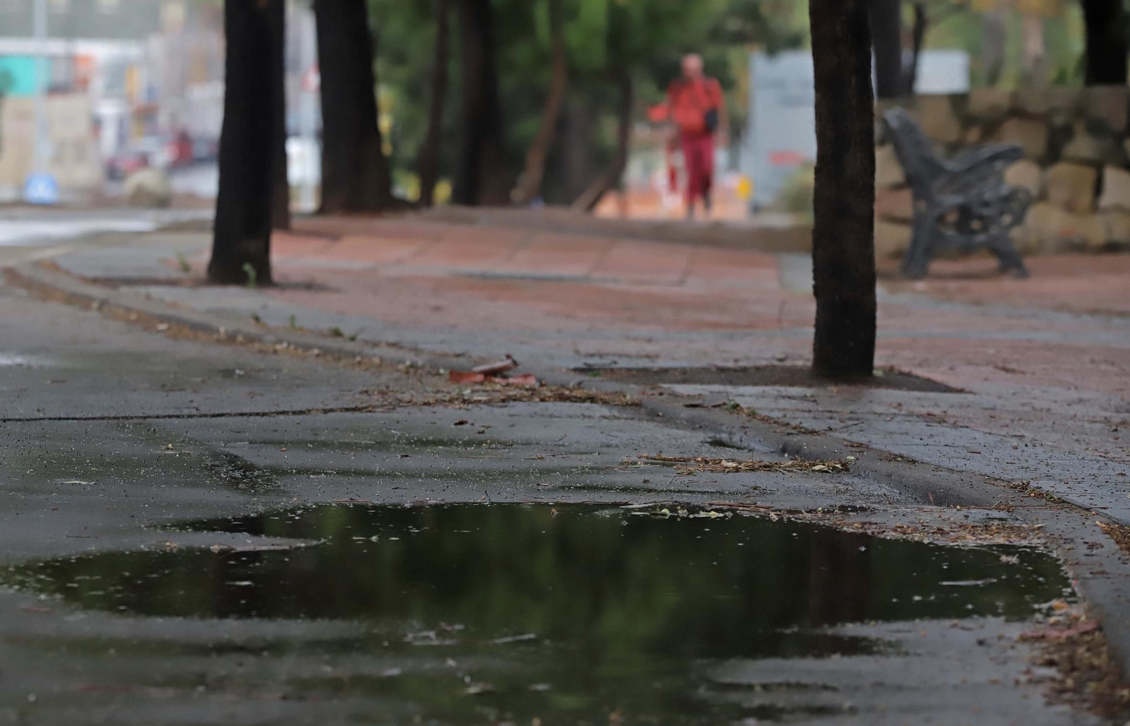Las primeras lluvias de otoño, en imágenes