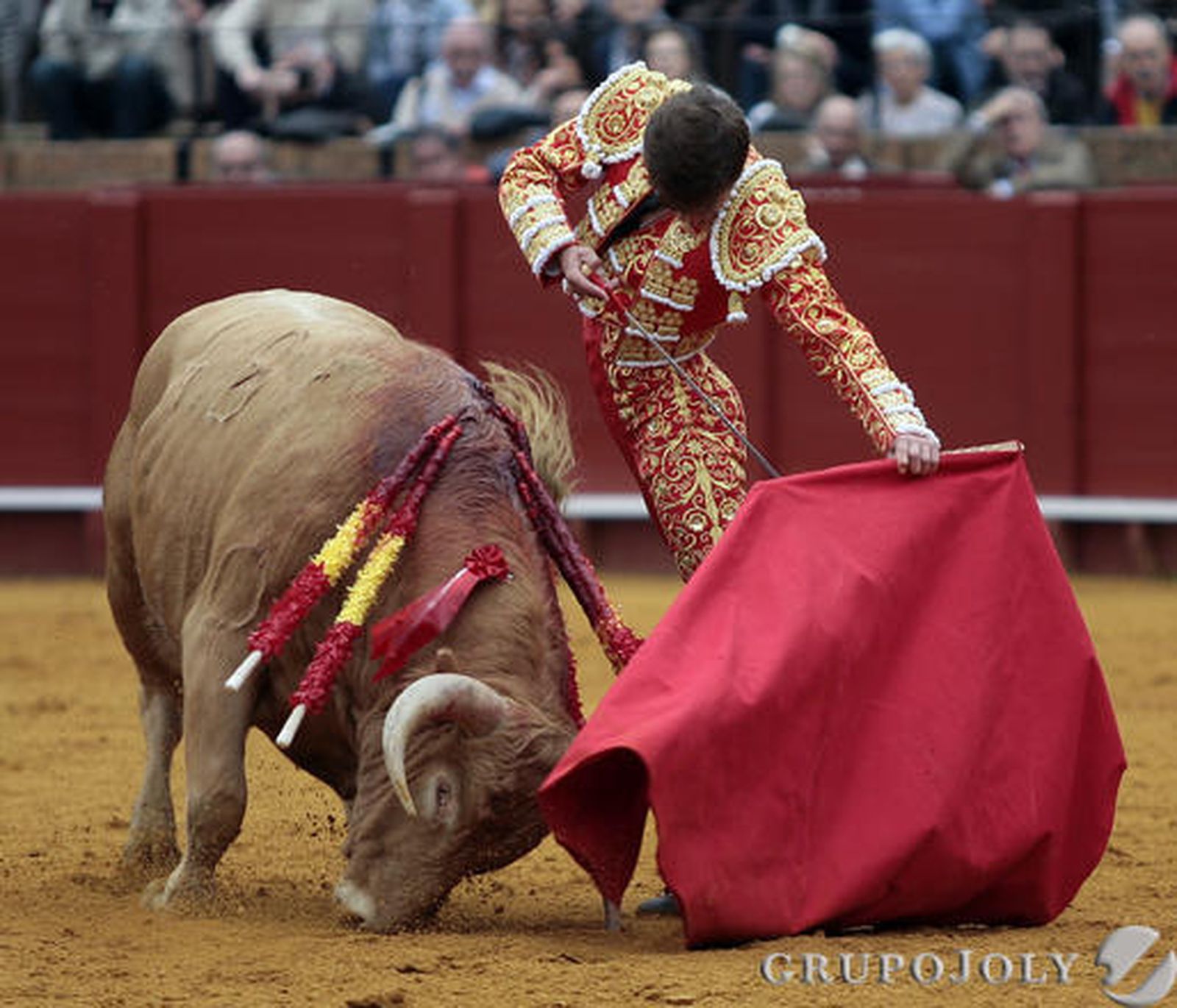 Lama de Góngora.

Foto: Juan Carlos Mu?
