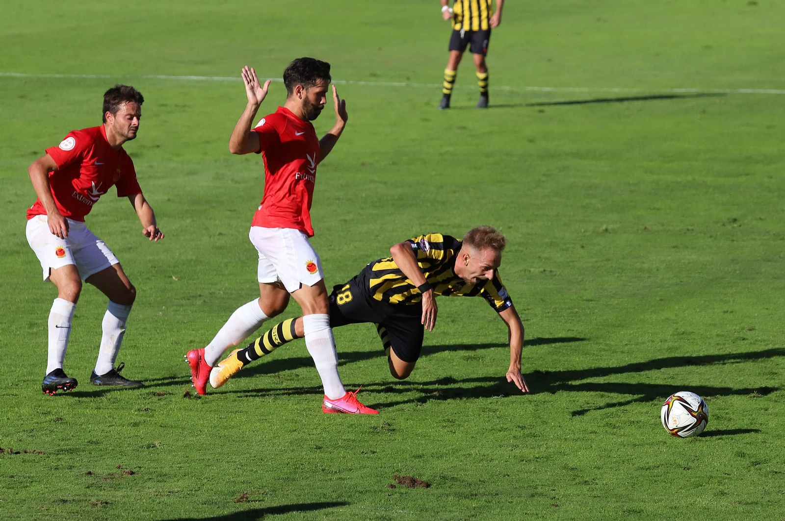 El San Roque de Lepe espera levantarse tras el tropiezo ante el Montijo.