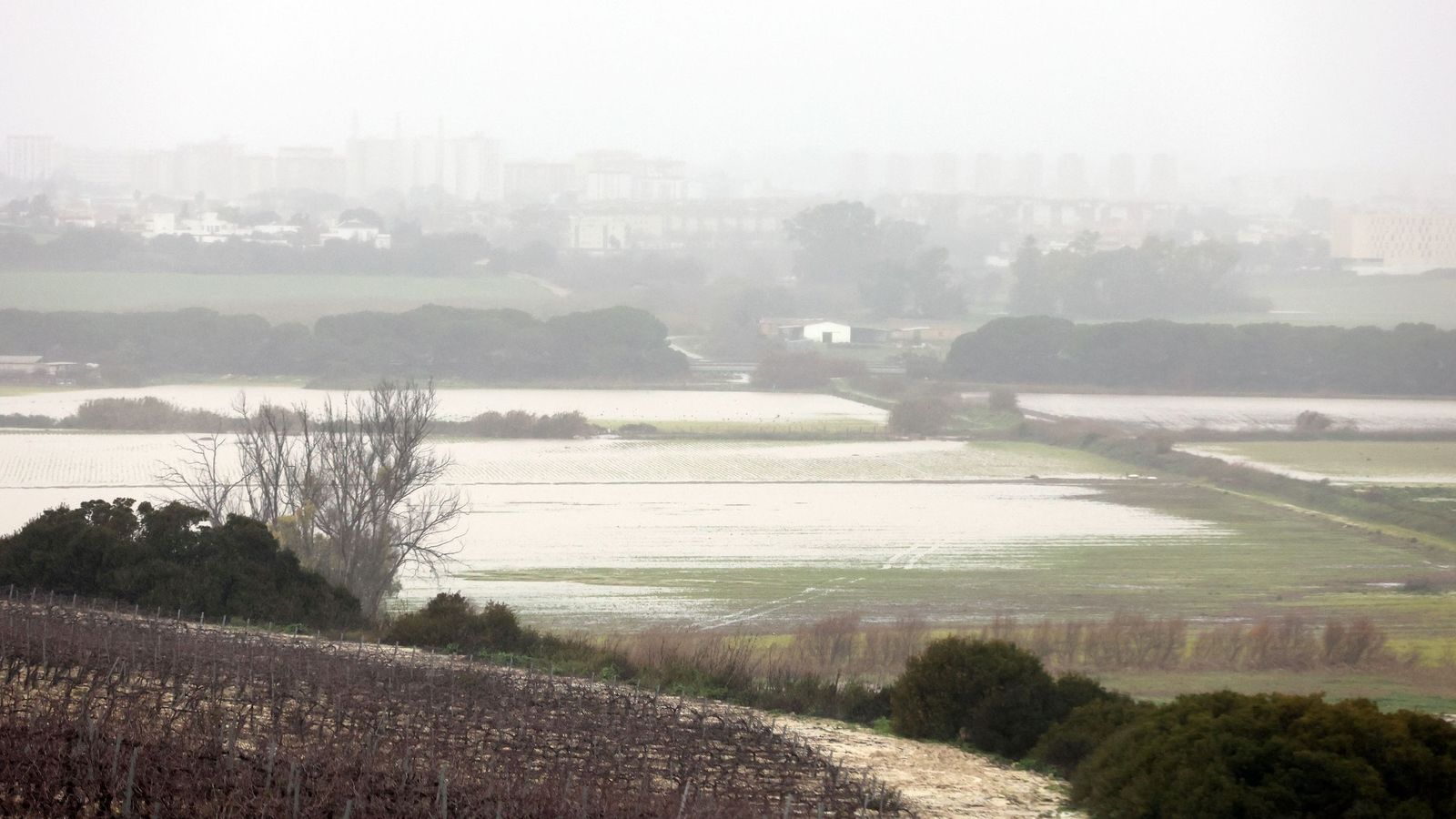 Imágenes del paseo rural por Jerez en el estreno de la borrasca Marta