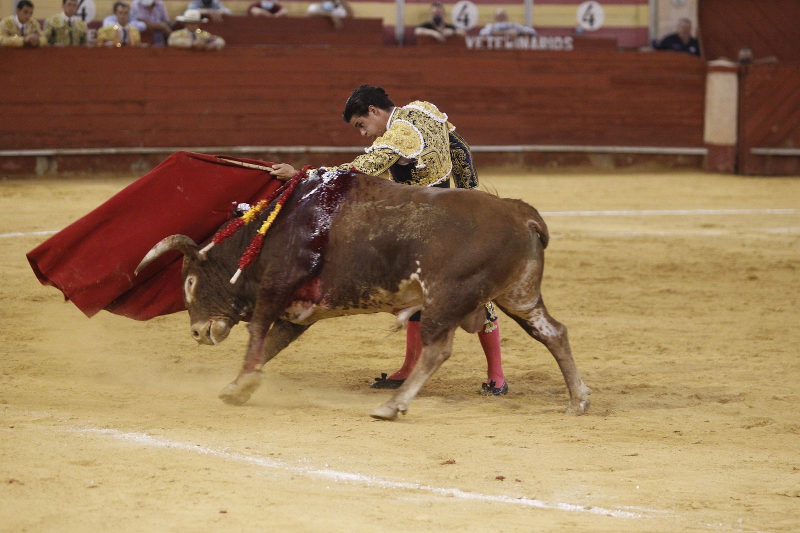 Fotogalería segunda corrida de toros Feria de Almeria 2021