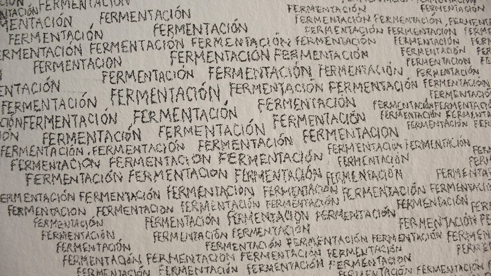 'Fermentación', caligrama, grafito aplicado directamente al muro de la sala.