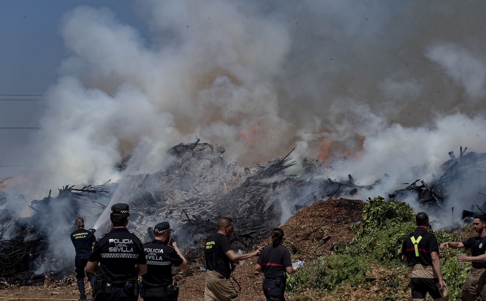 Bomberos de Sevilla extinguen un incendio en una empresa residuos vegetales
