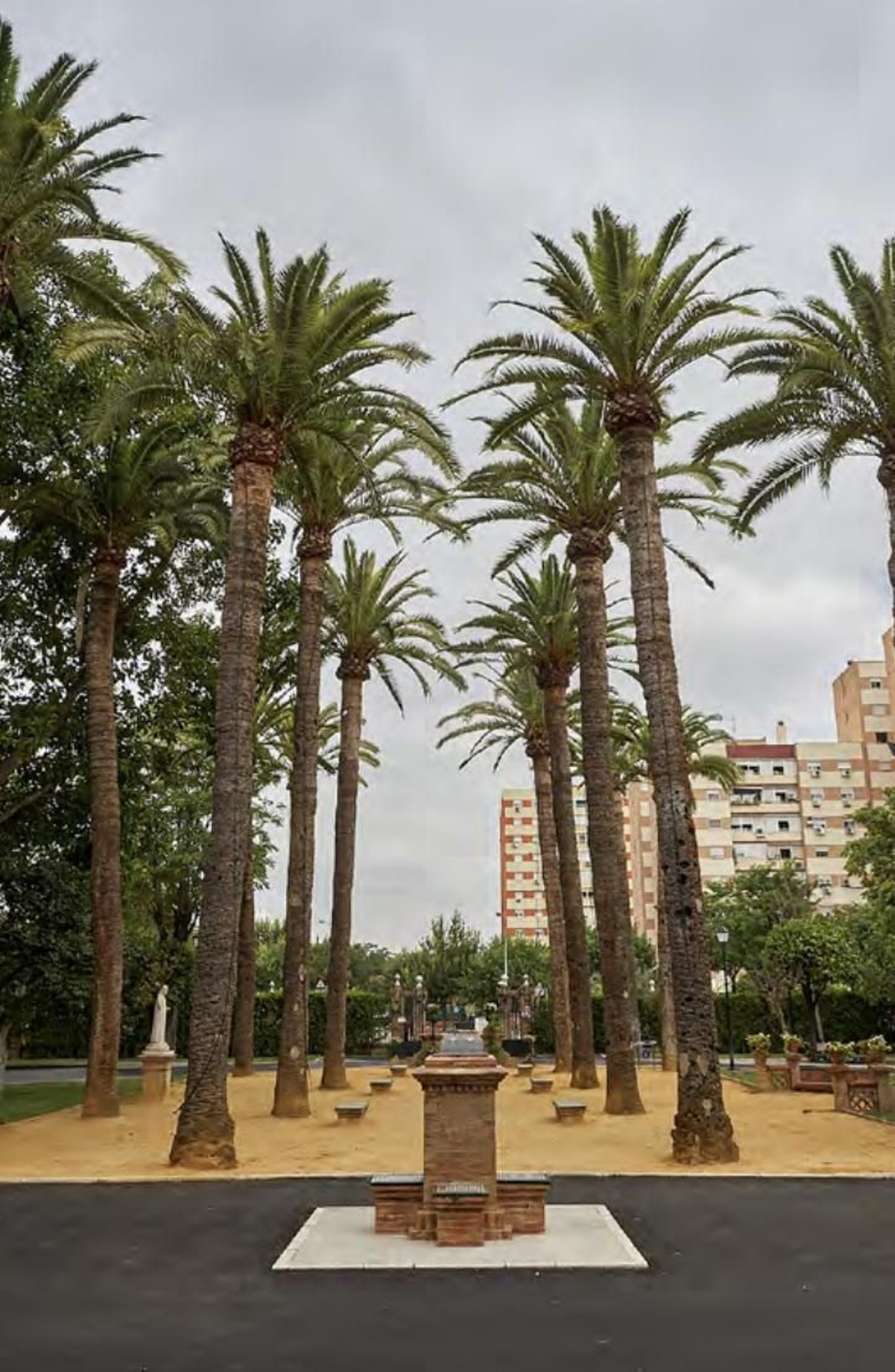 Los árboles más singulares del nuevo catálogo de Sevilla