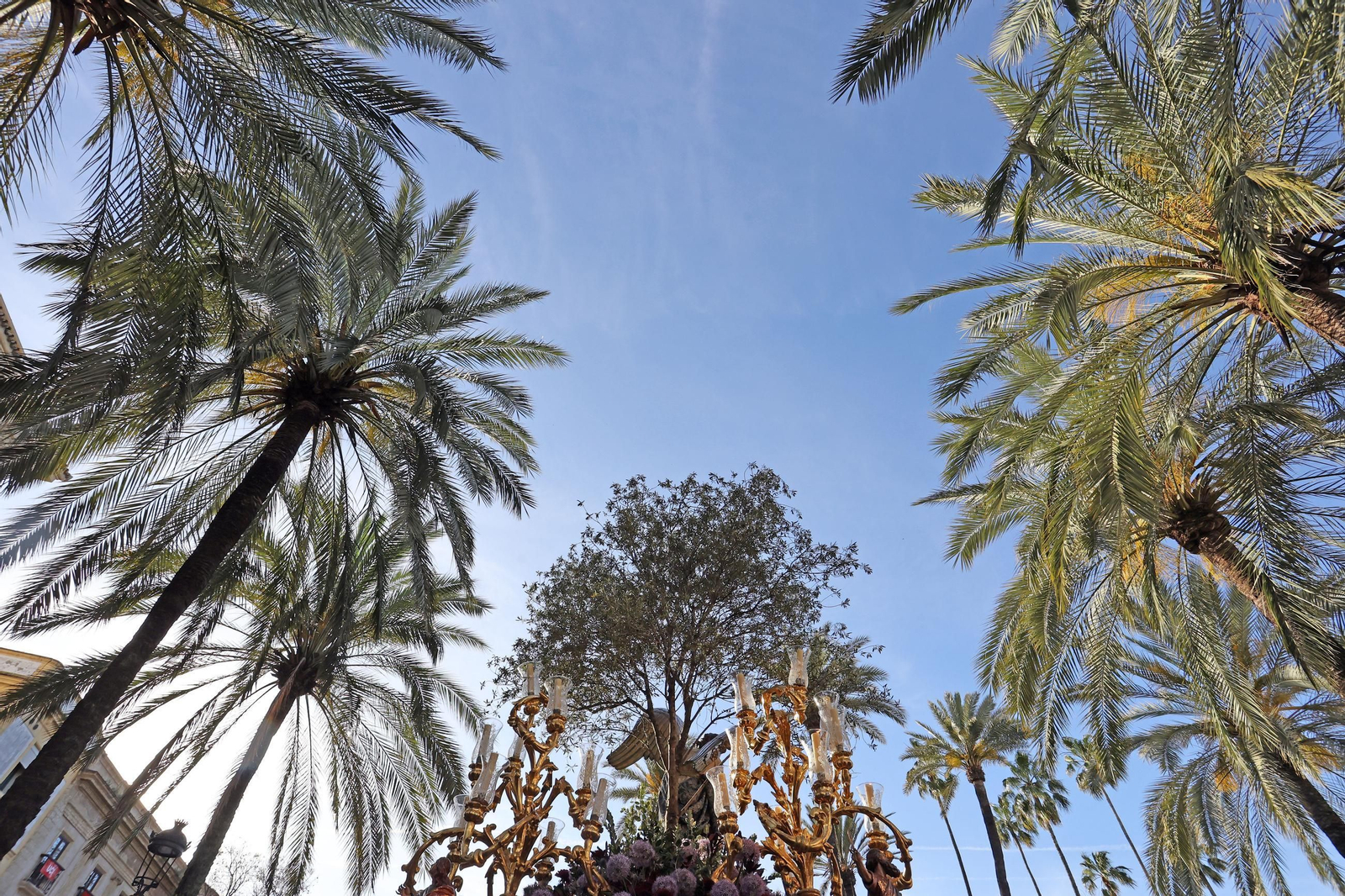 Imágenes de la Hermandad de la Oración en el Huerto del Jueves Santo de Jerez 2025