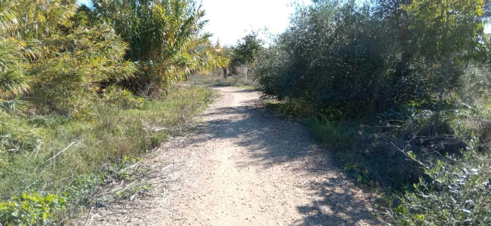 Las imágenes del Tramo I de la Ruta del Río Pudio