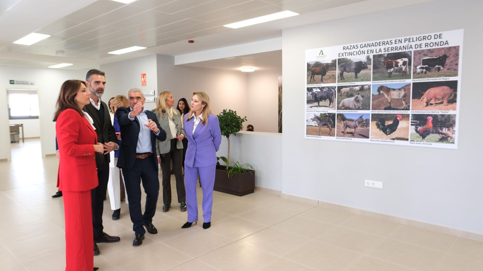 Visita a las instalaciones.