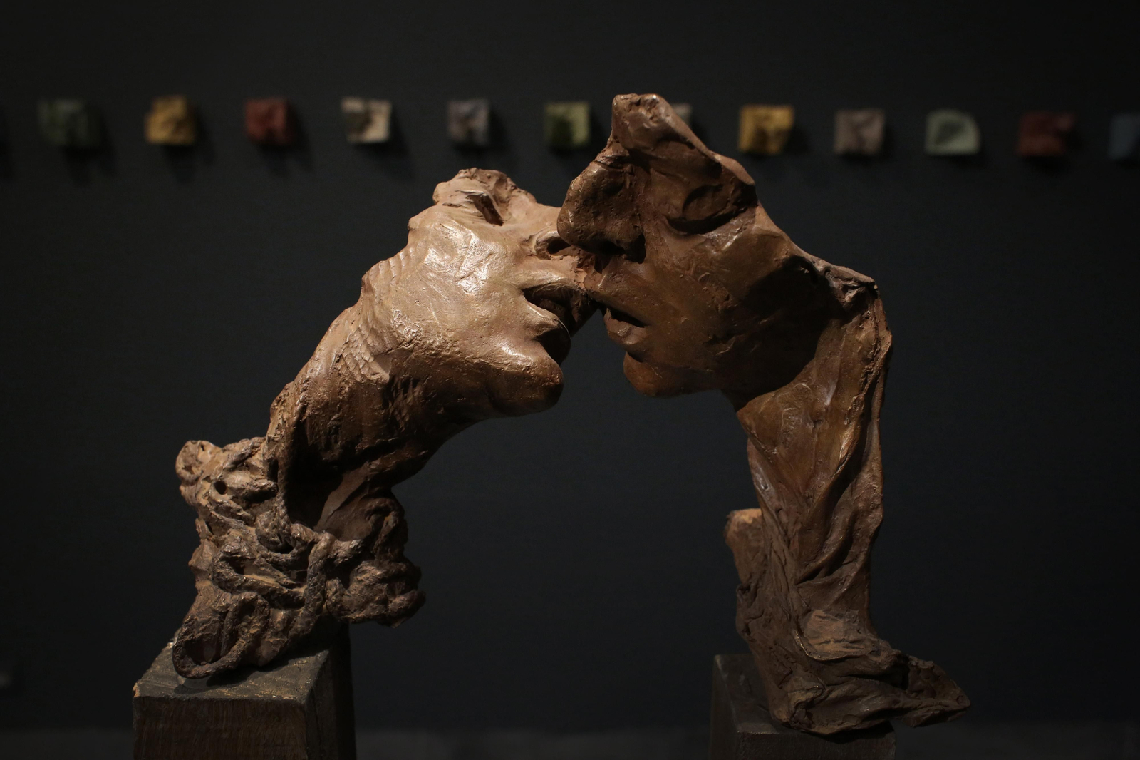 Cosmología de Martín Lagares en imágenes