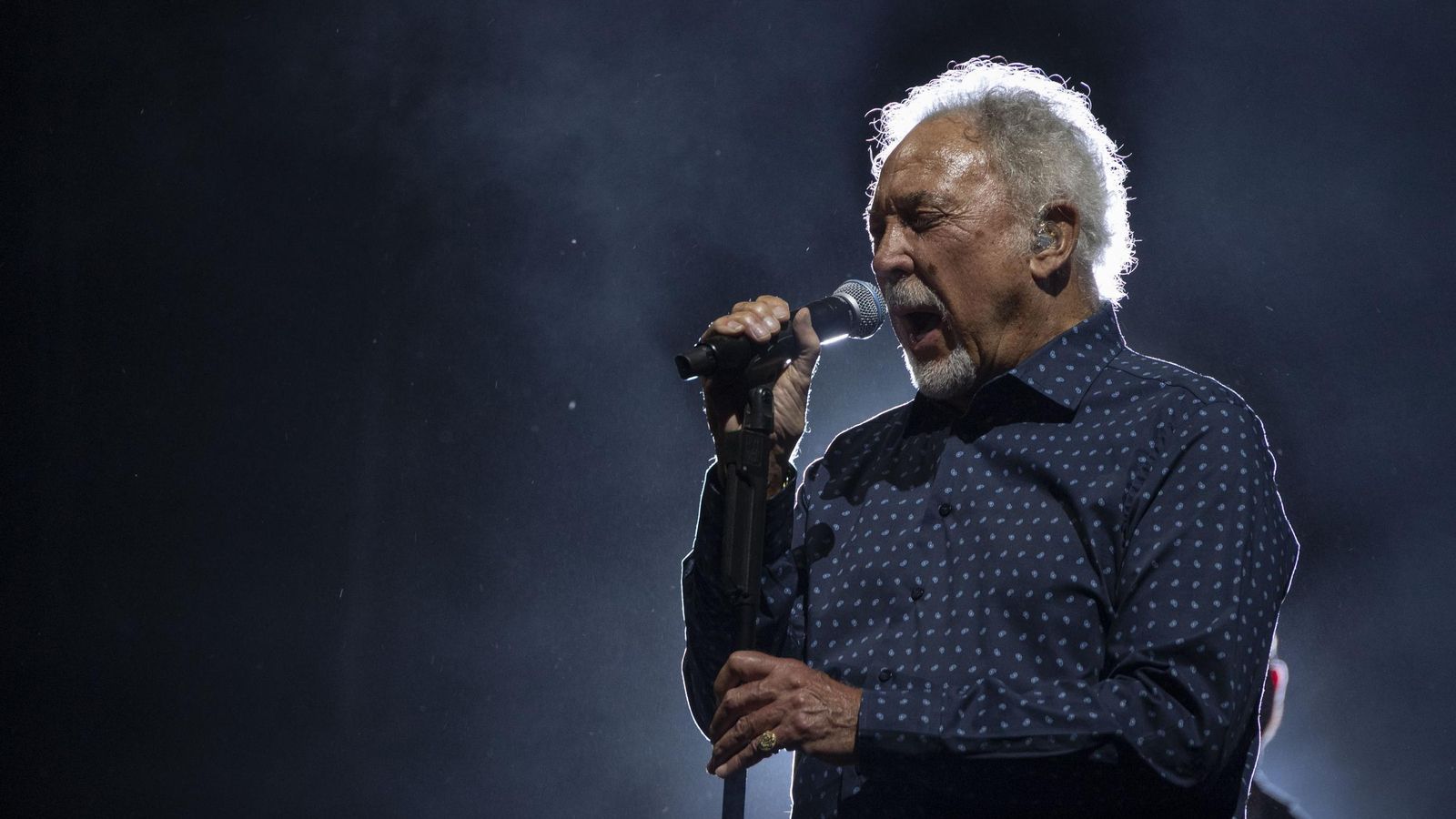 Búscate en las imágenes del concierto de Tom Jones en Concer Music Festival de Chiclana