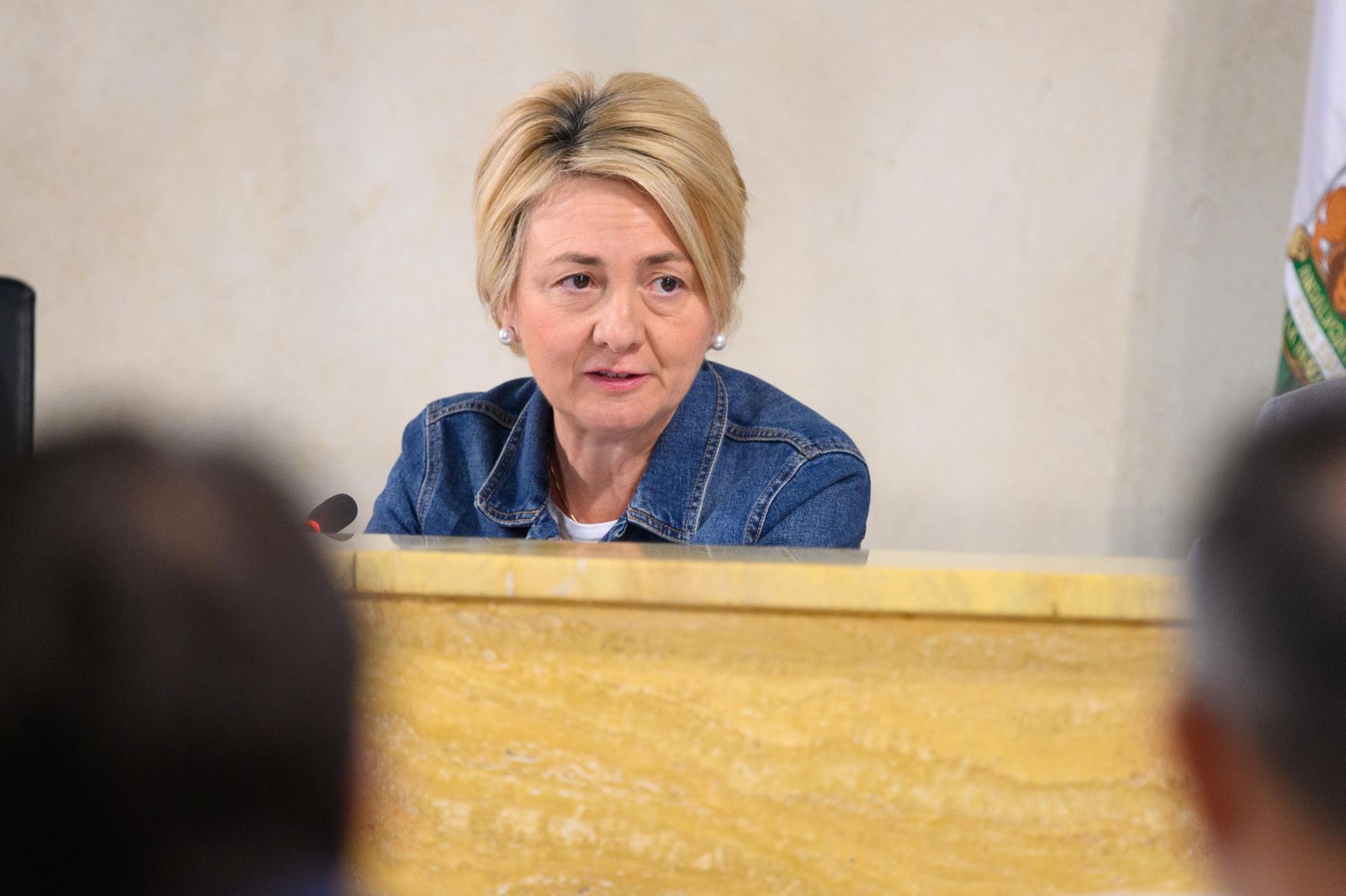 Eloísa Cabrera, concejal de Urbanismo, durante su intervención plenaria