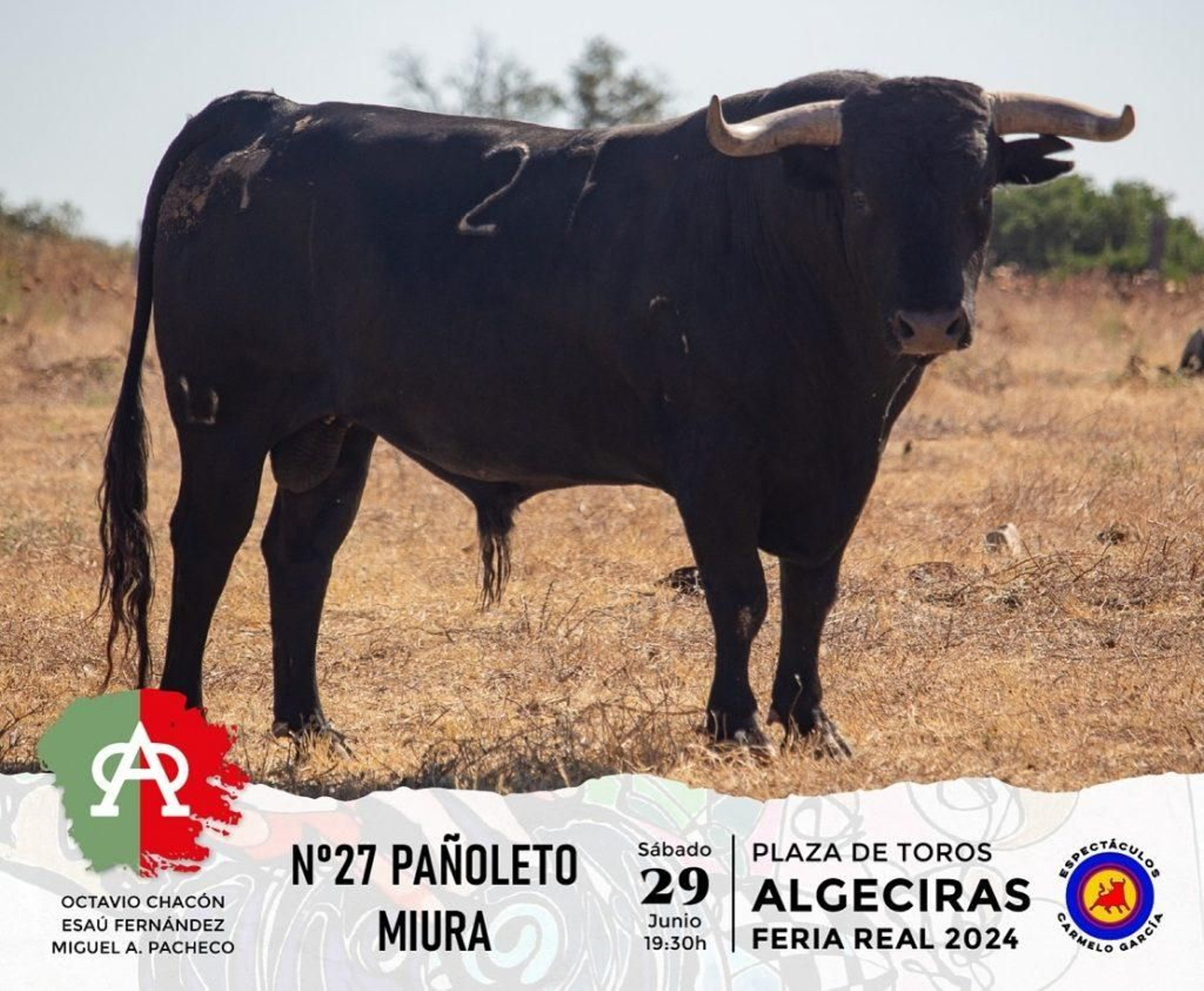 Pañoleto, nº 27 (Miura).