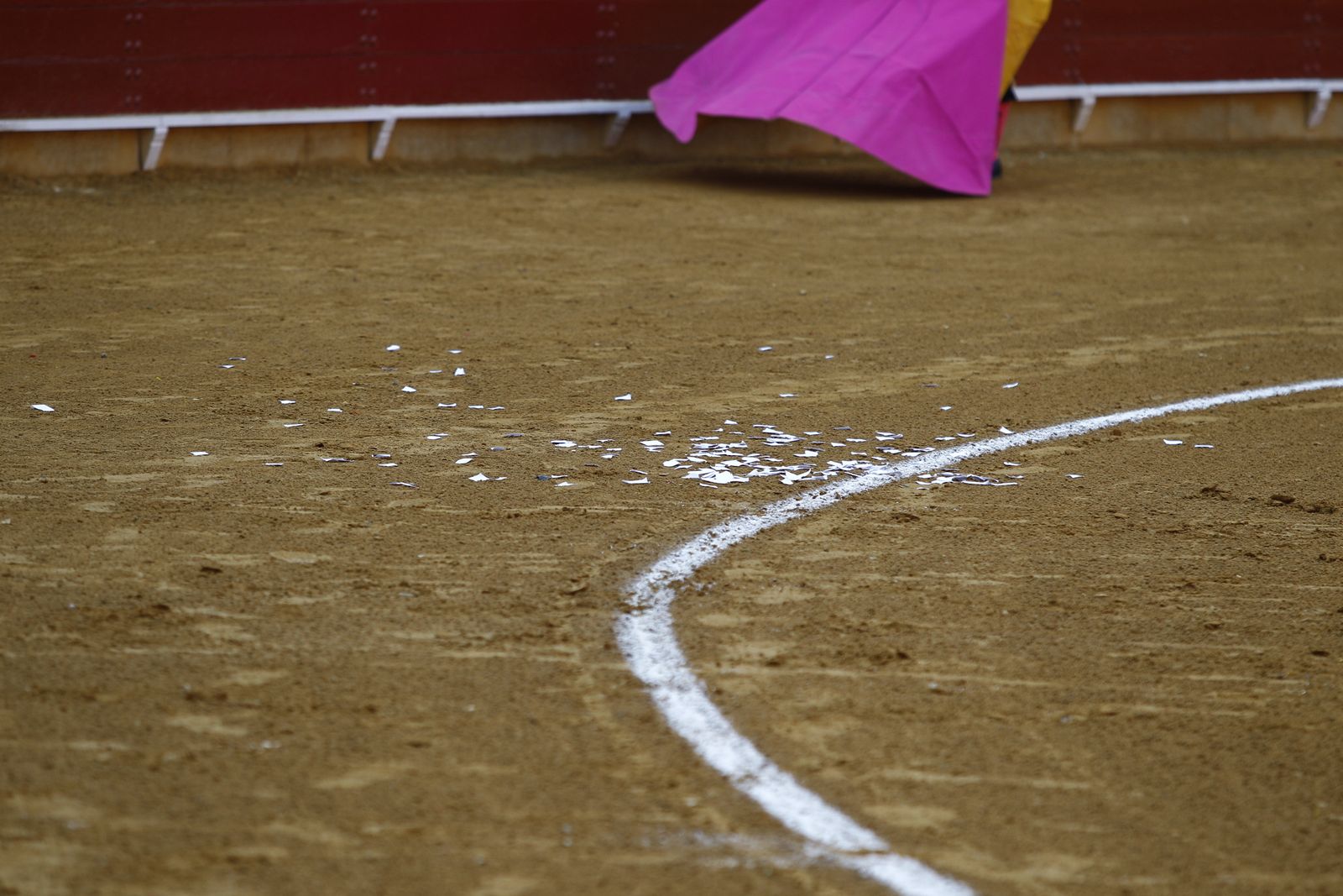 Fotogalería corrida de toros. Cayetano Rivera, Paco Ureña y Roca Rey. Roquetas de Mar.