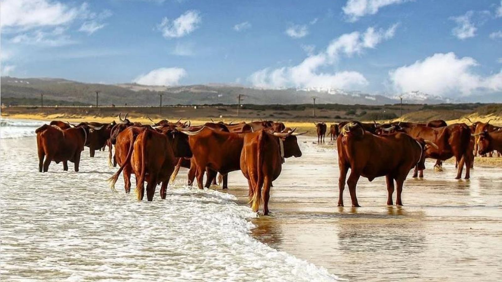 Esta playa mantiene su entorno natural al encontrarse en la zona militar