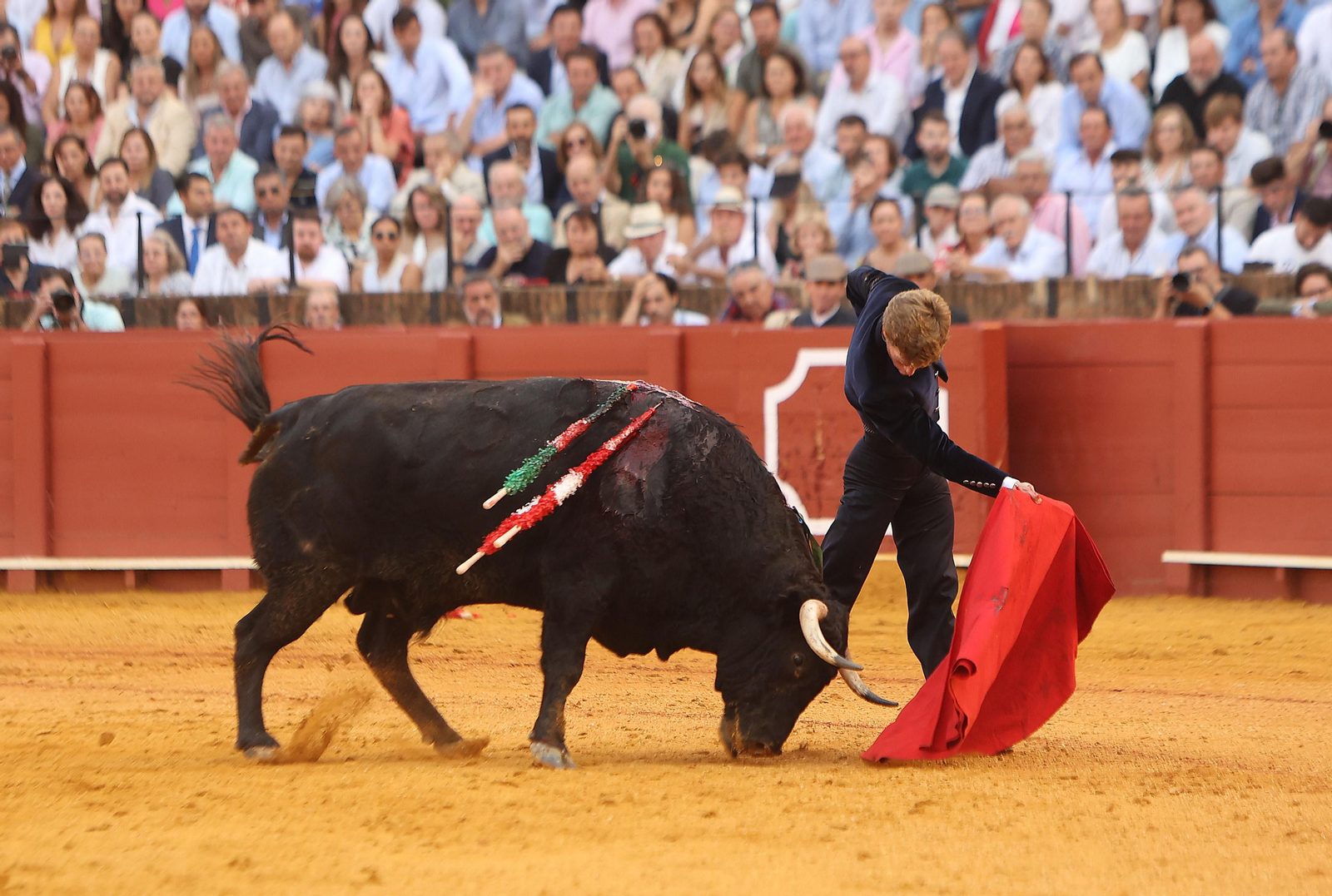 Fotos del Festival taurino a beneficio de l de la Hermandad del Rocío de Triana y de la Fundación Alalá