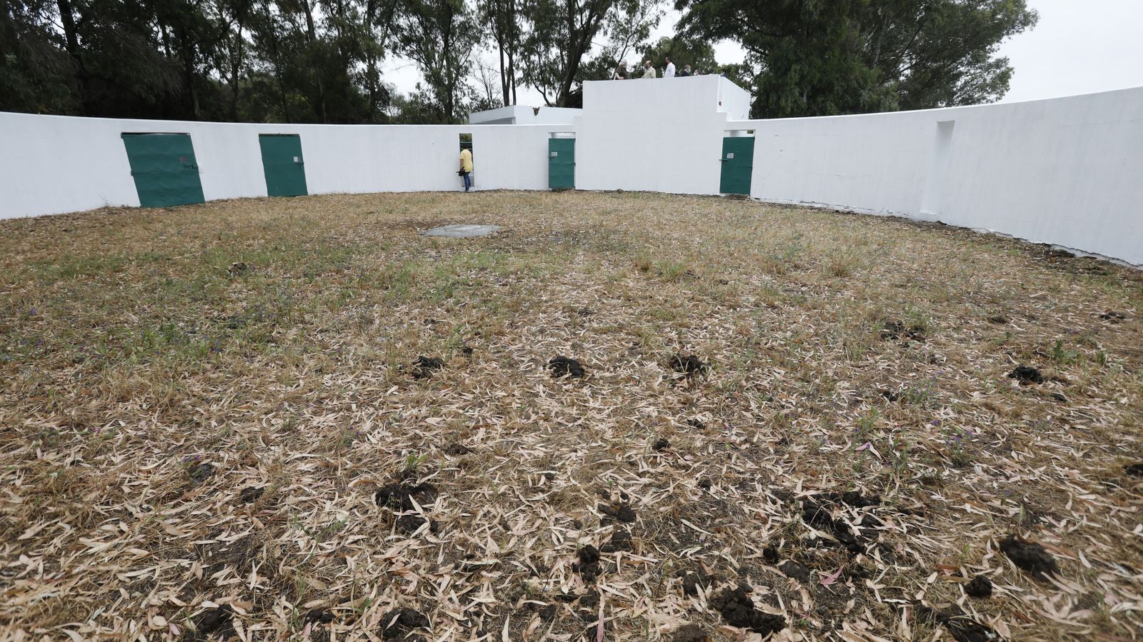 Las fotos del centro de carga de ganado vacuno en Los Barrios