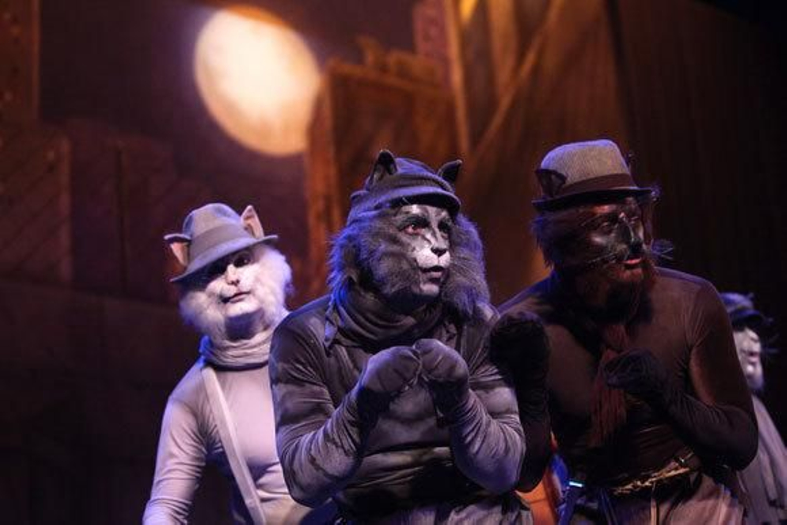 Los Carapapa sacan las garras para defender su territorio