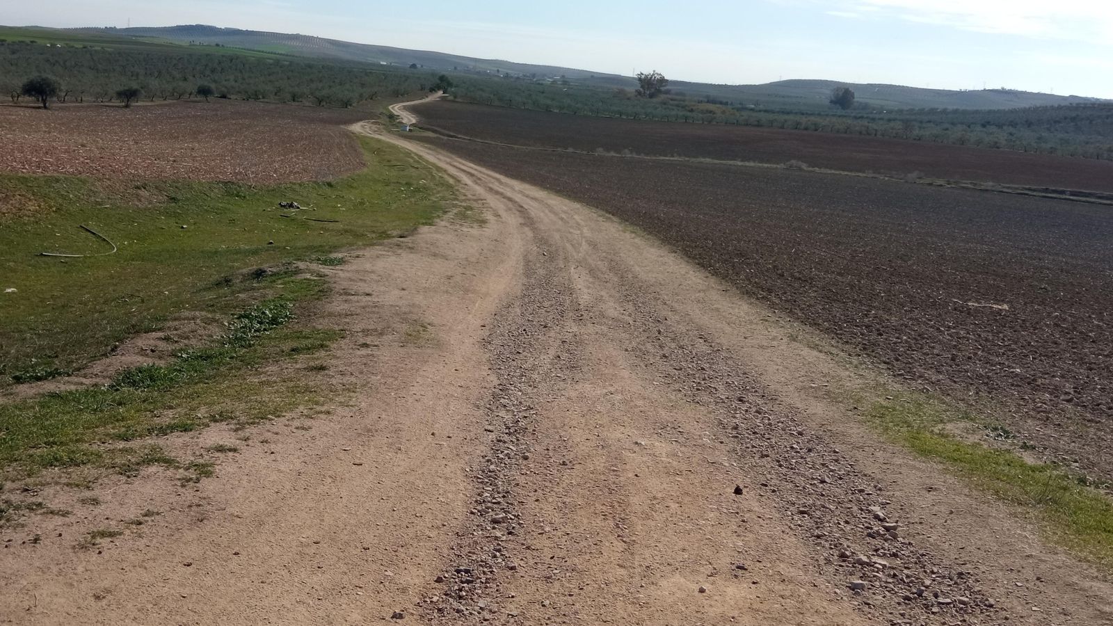 Las imágenes de la ruta de la dehesa de Albaida del Aljarafe
