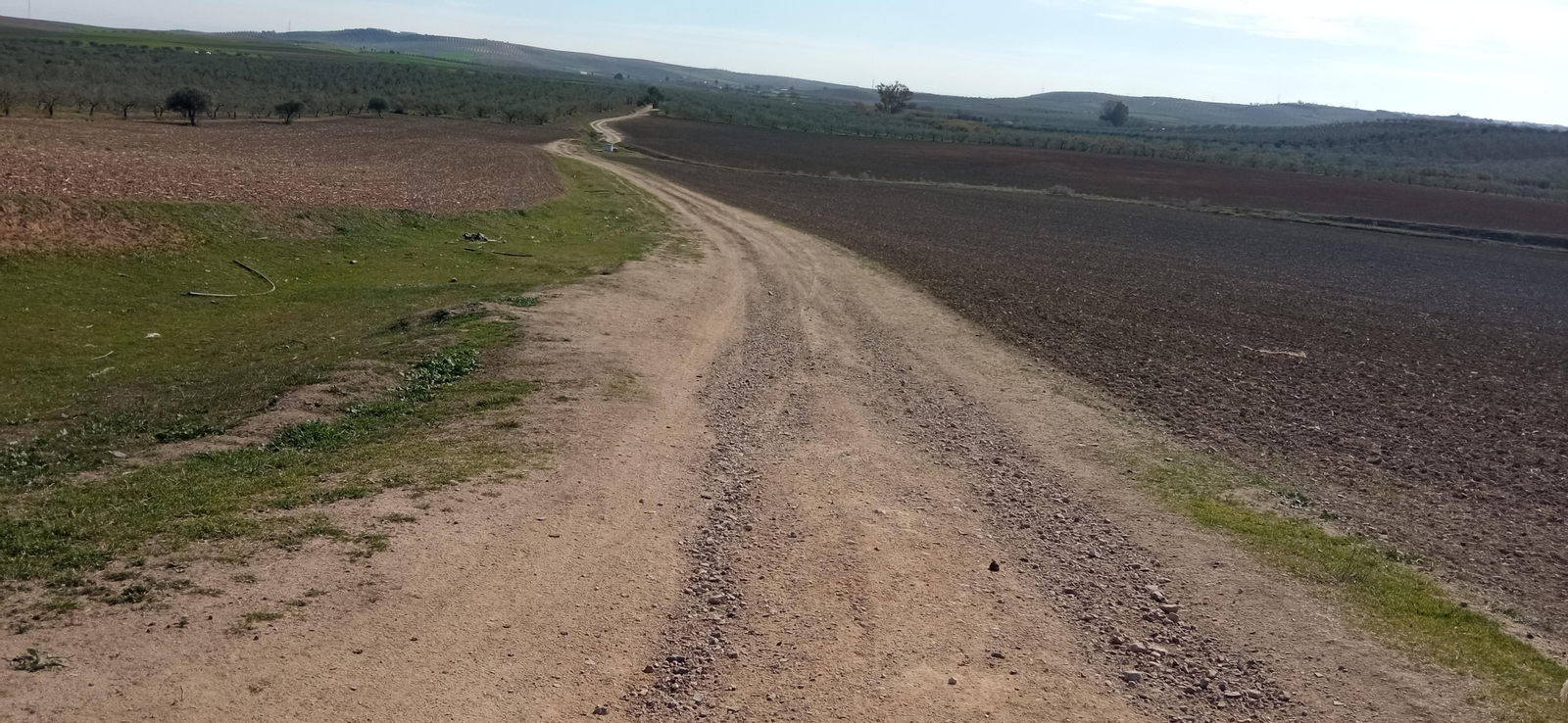 Las imágenes de la ruta de la dehesa de Albaida del Aljarafe