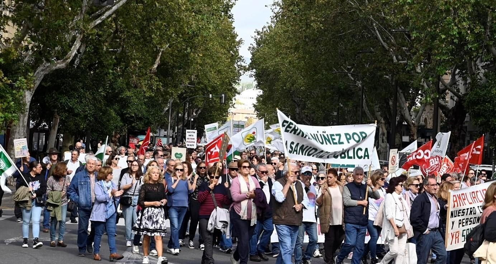 La manifestación en defensa de la sanidad pública en Córdoba, en imágenes