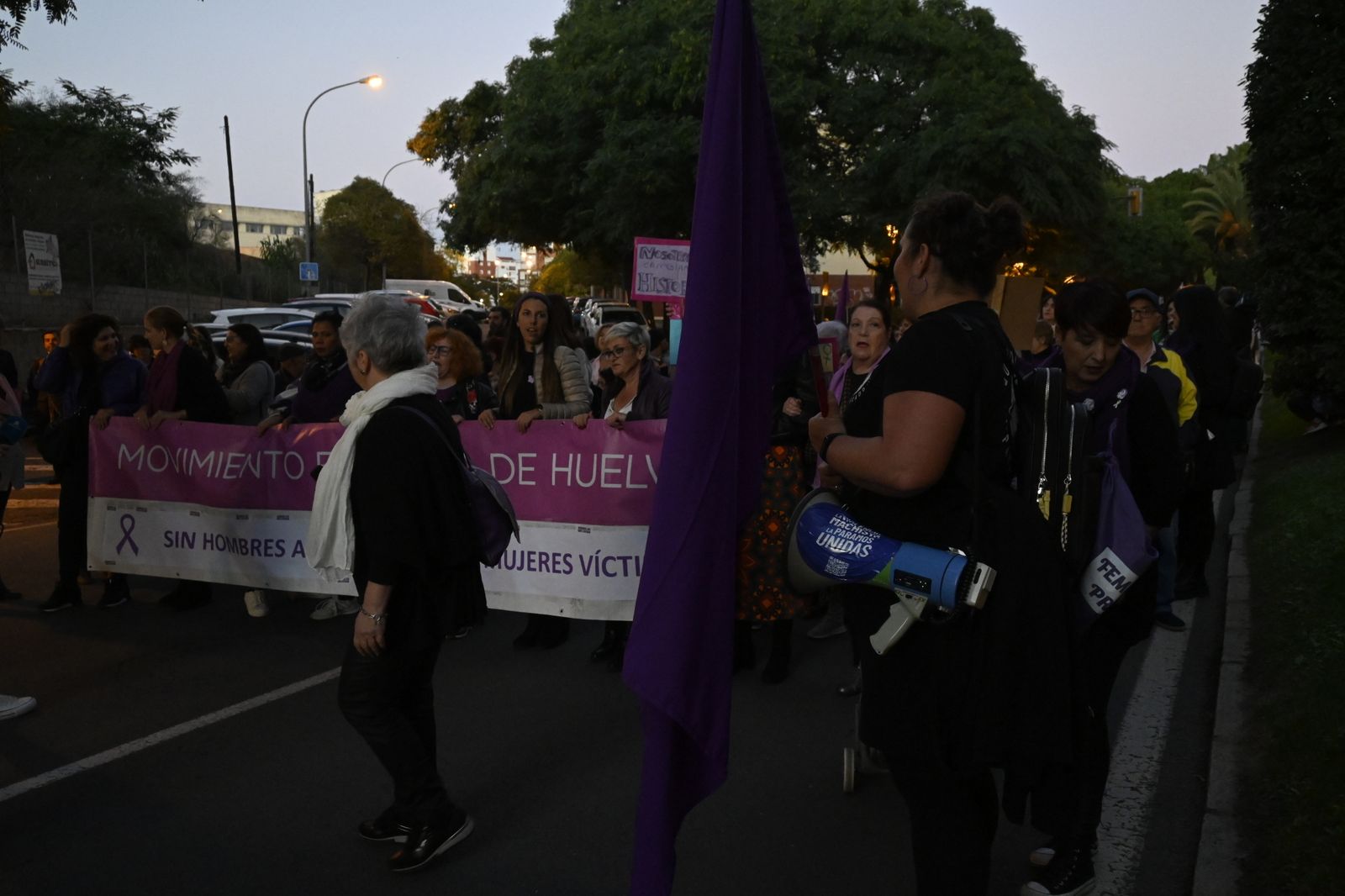 Manifestación del 25N en Imágenes.