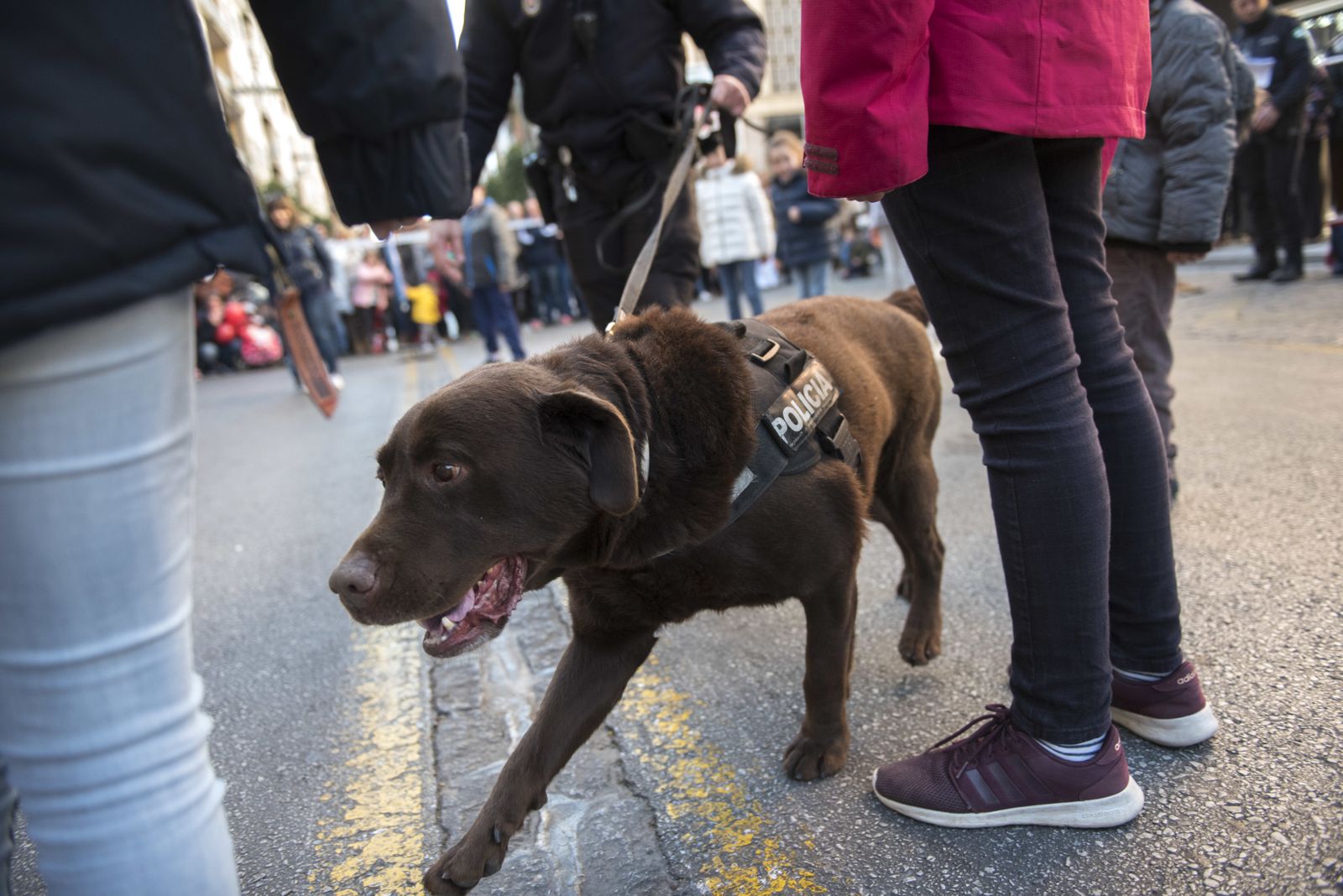 Las imágenes del Día sin coches