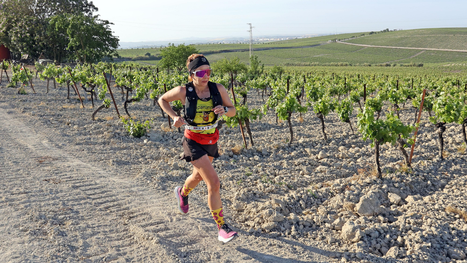 VI Sherry Maratón Jerez