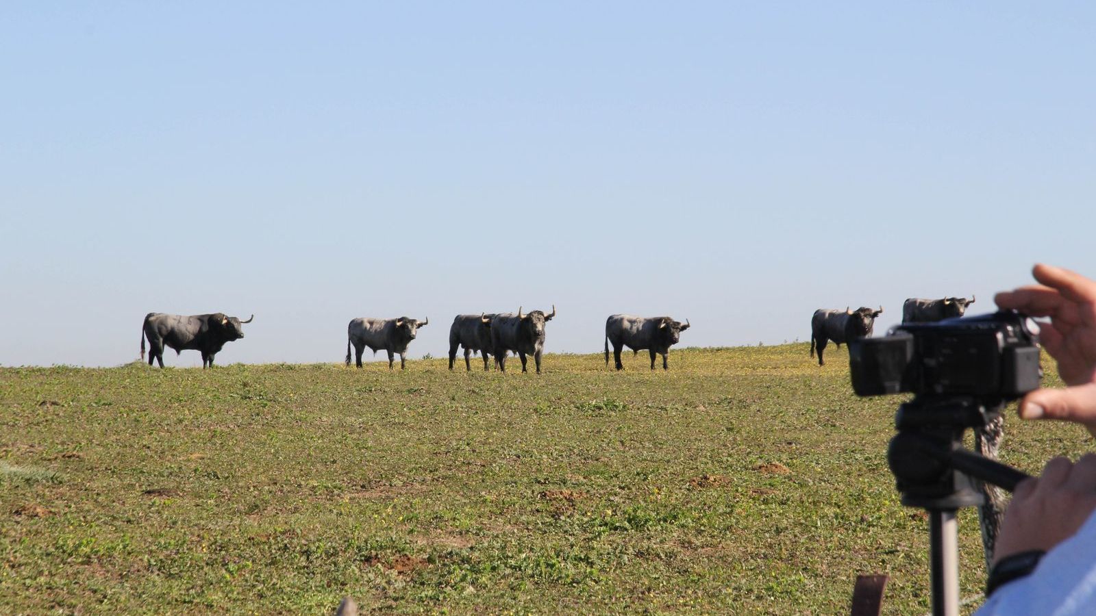 Se celebrarán jornadas  sobre experiencias de ecoturismo.