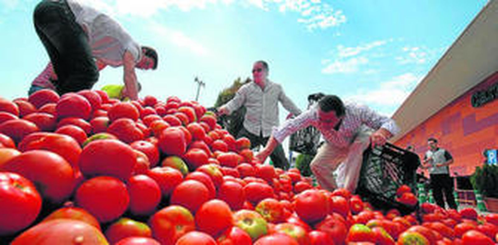 El licopeno es el que da el color rojizo al fruto.