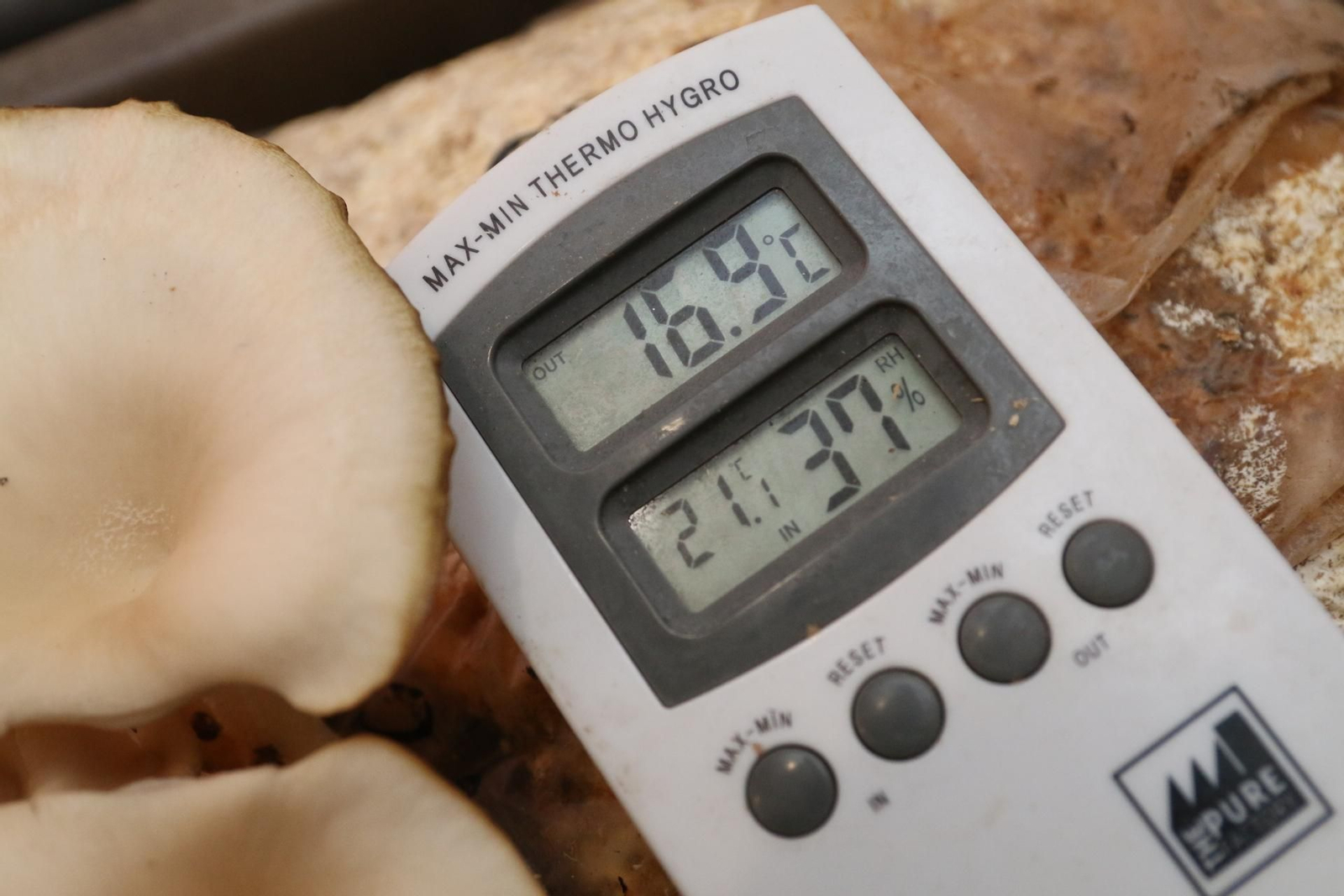 Fotogalería del Reino de las Setas