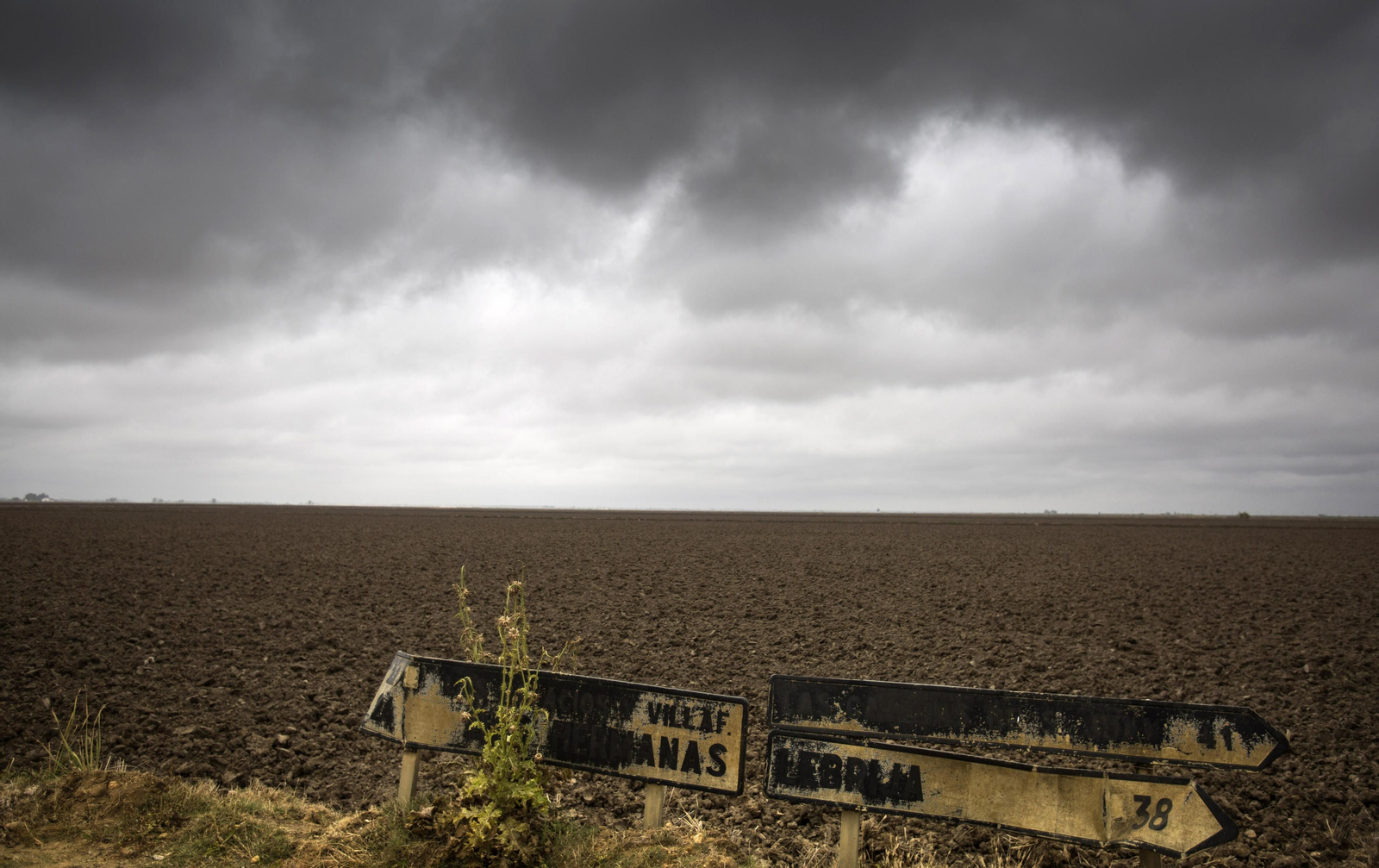 Marismas del Guadalquivir, un paisaje de cine