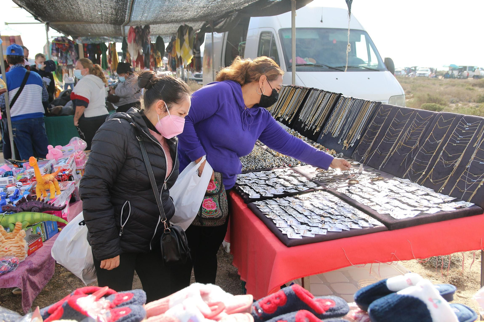 Fotogalería de la Romería de Torregarcía