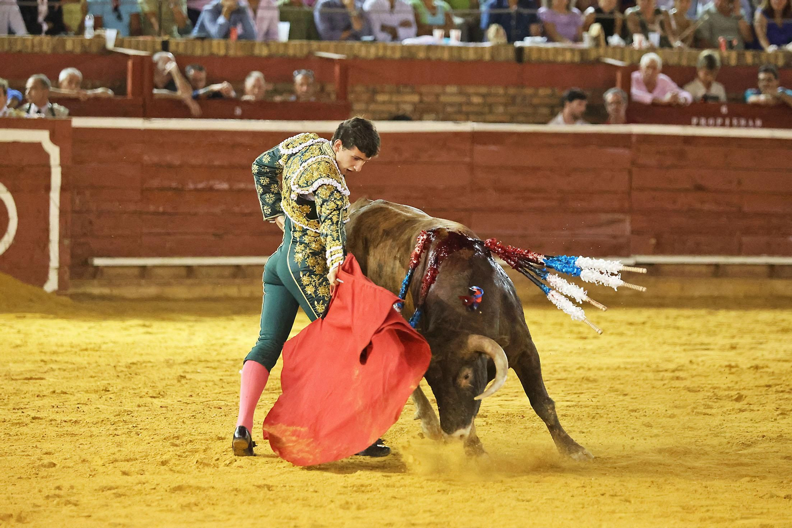 Toros La Merced 2024 Novillada con picadores(
