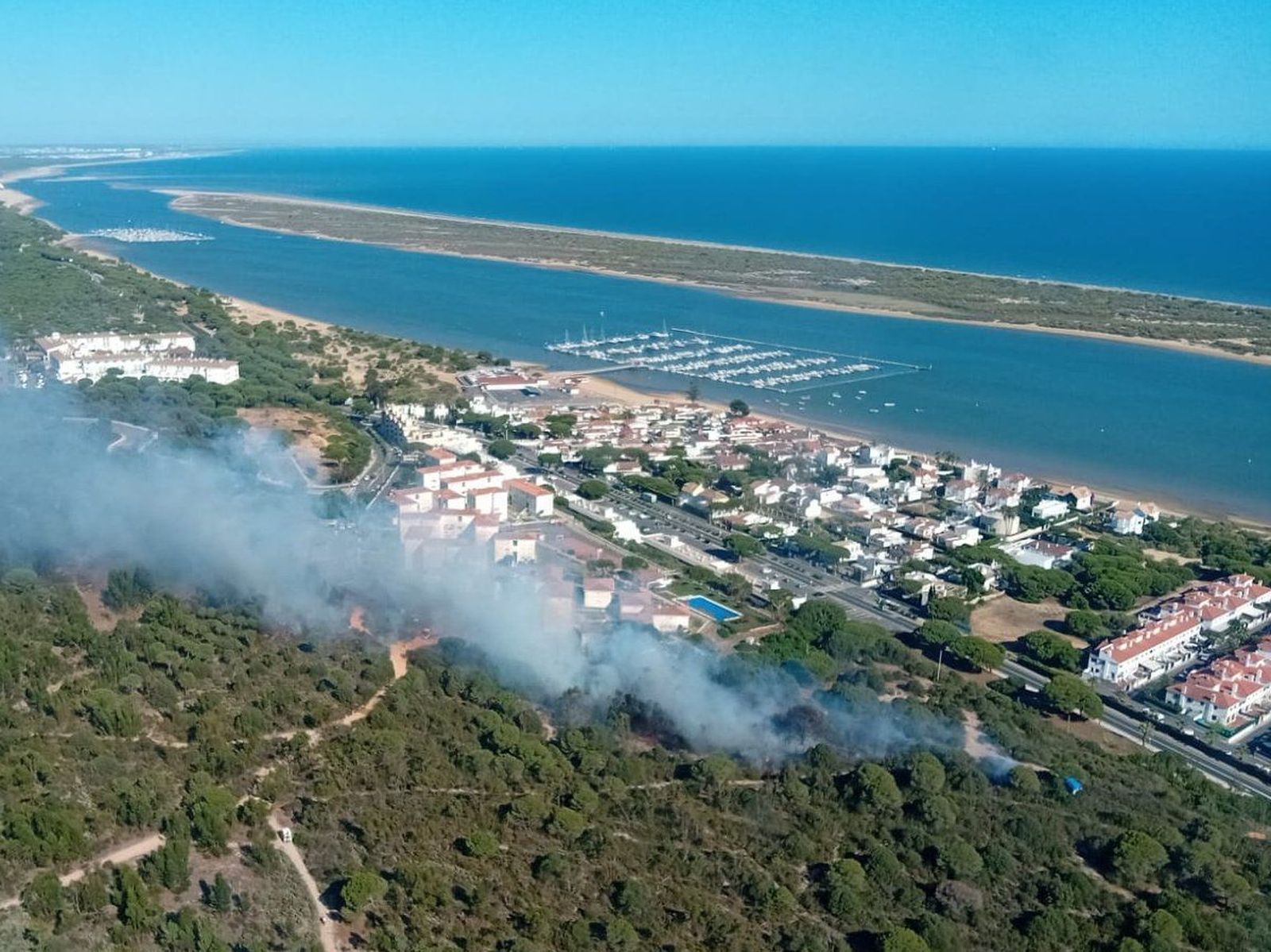 Incendio en el paraje de la Eurobosa en El Rompido.
