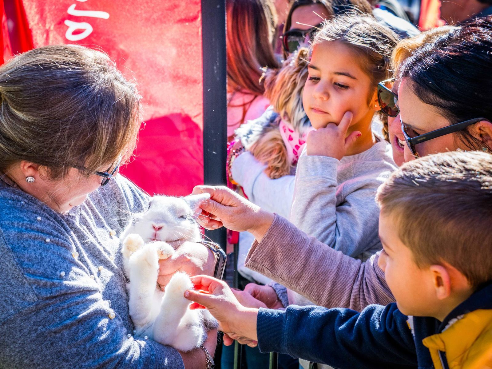 Las imágenes de San Antón 2025 en San Fernando