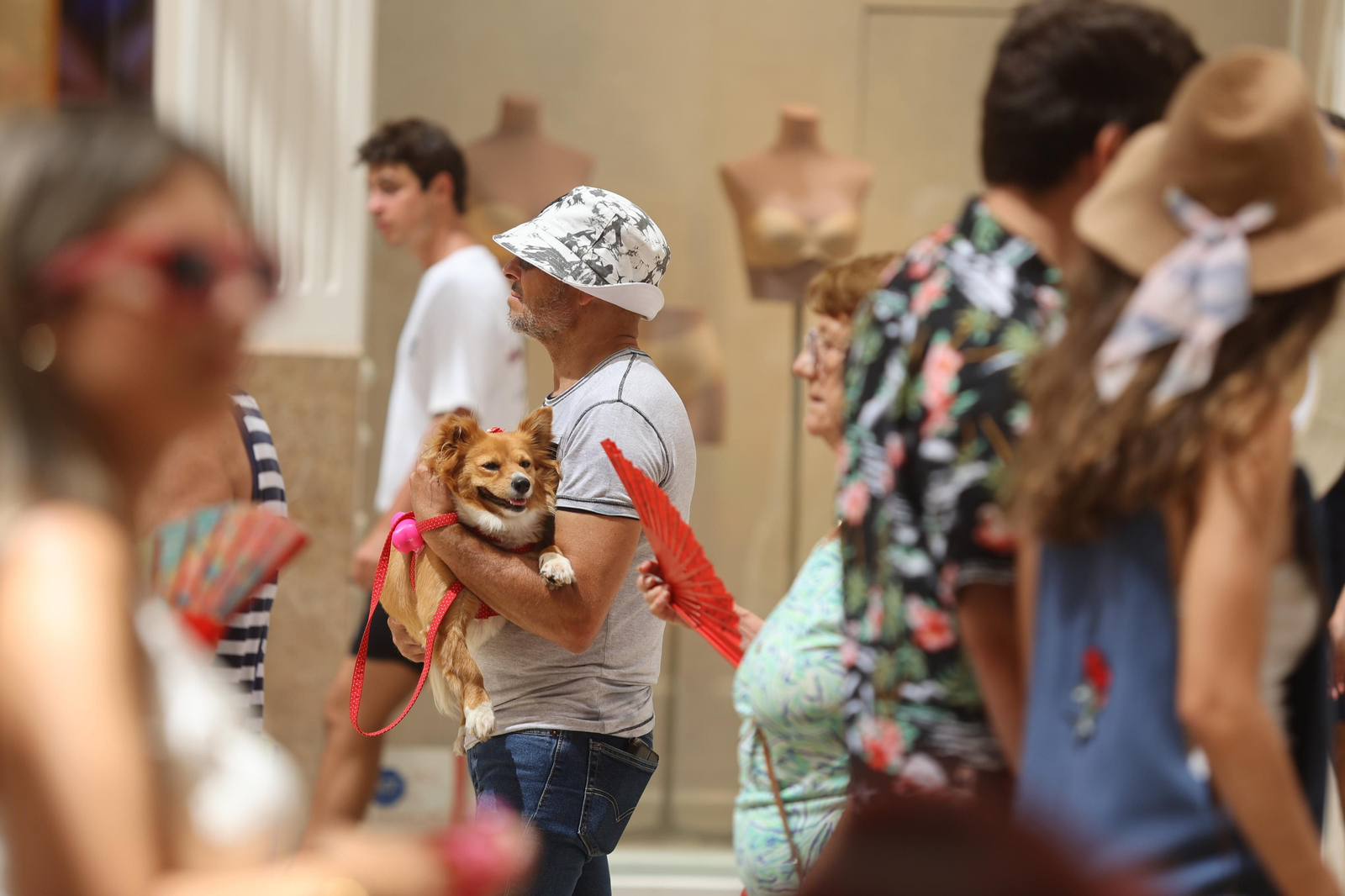 El último día de la Feria de Málaga, en imágenes