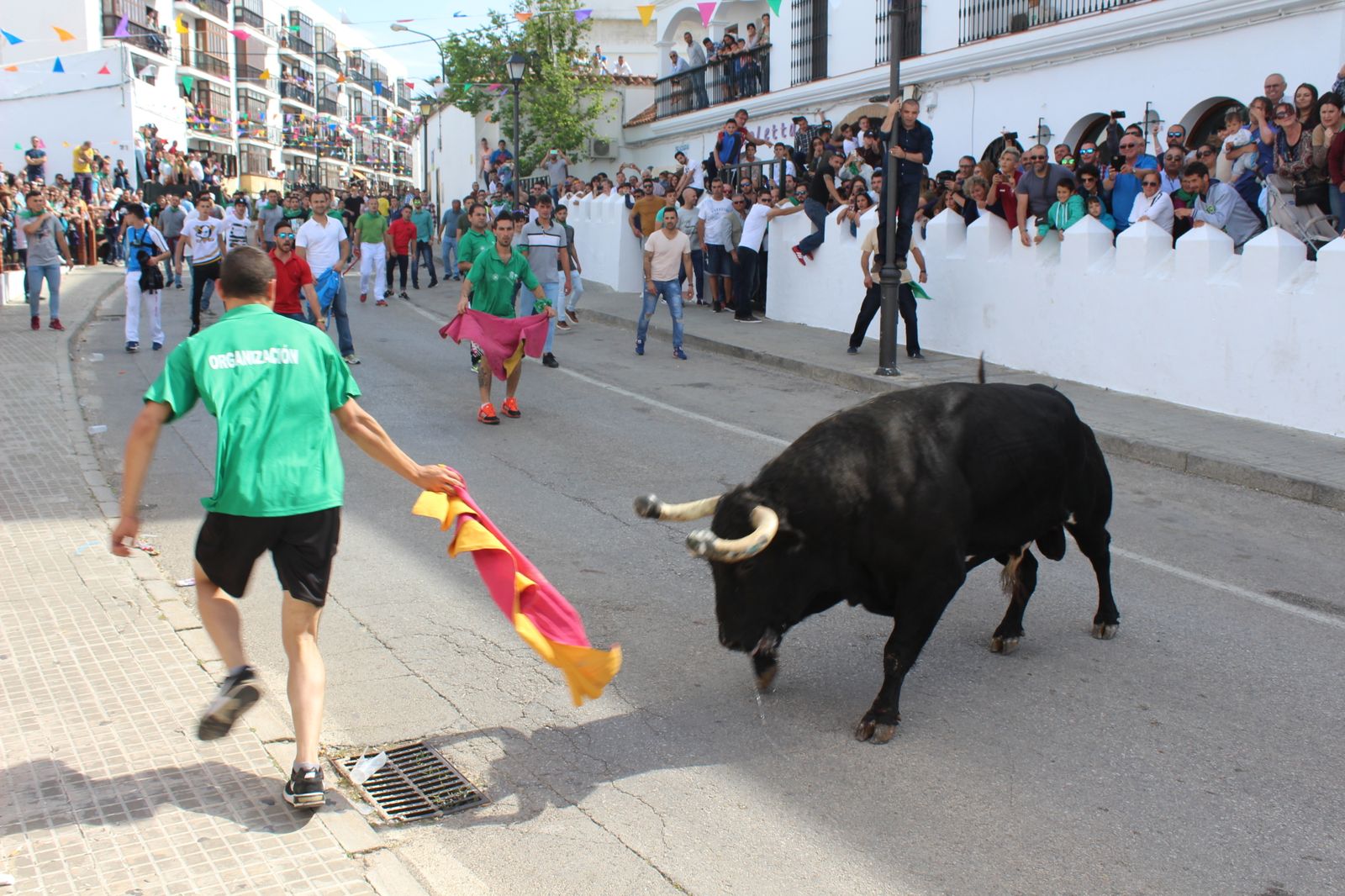 Toro Embolao en Vejer