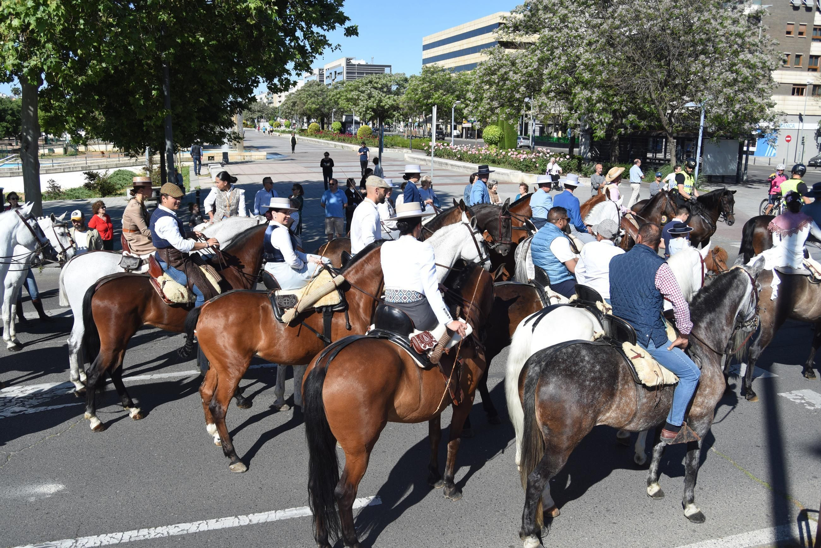 La Romería de Santo Domingo, en imágenes