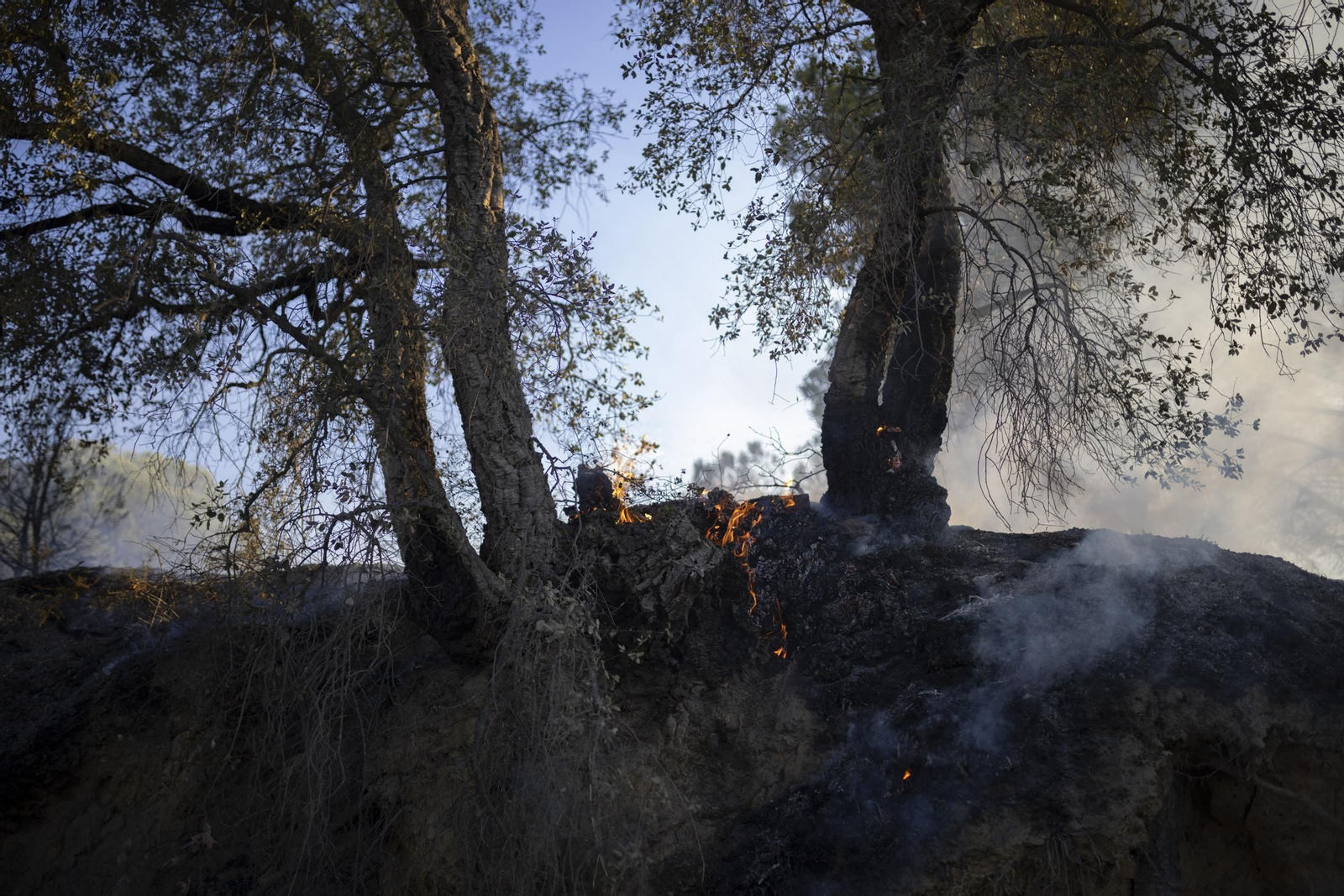 Imágenes del incendio de Bonares