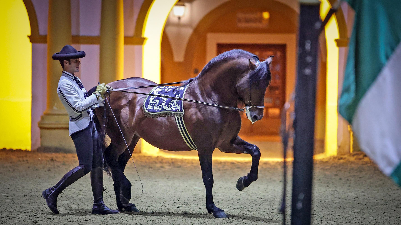 Yente,  el caballo de Jerez mas famoso del mundo