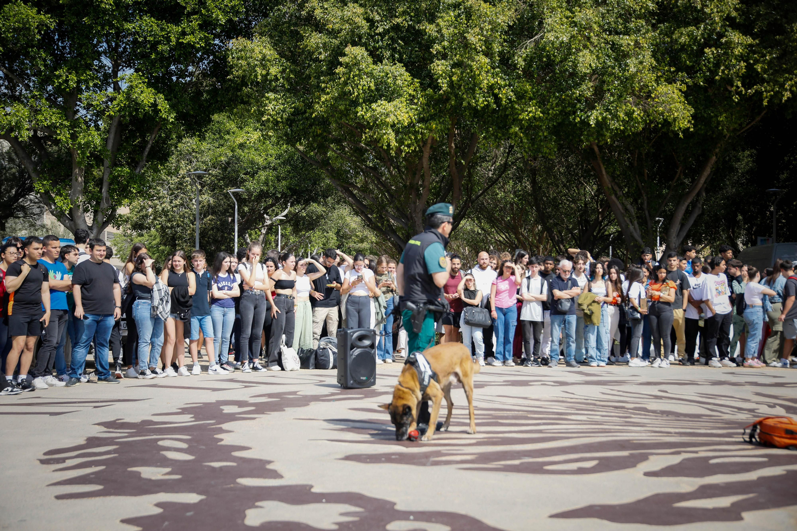 IV edición de la feria Aula de la UAl, en imágenes