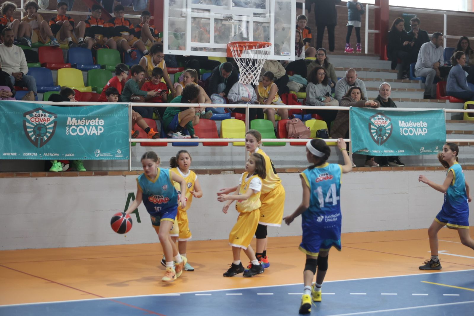 Las mejores fotos de la Copa Covap en Palma del Río