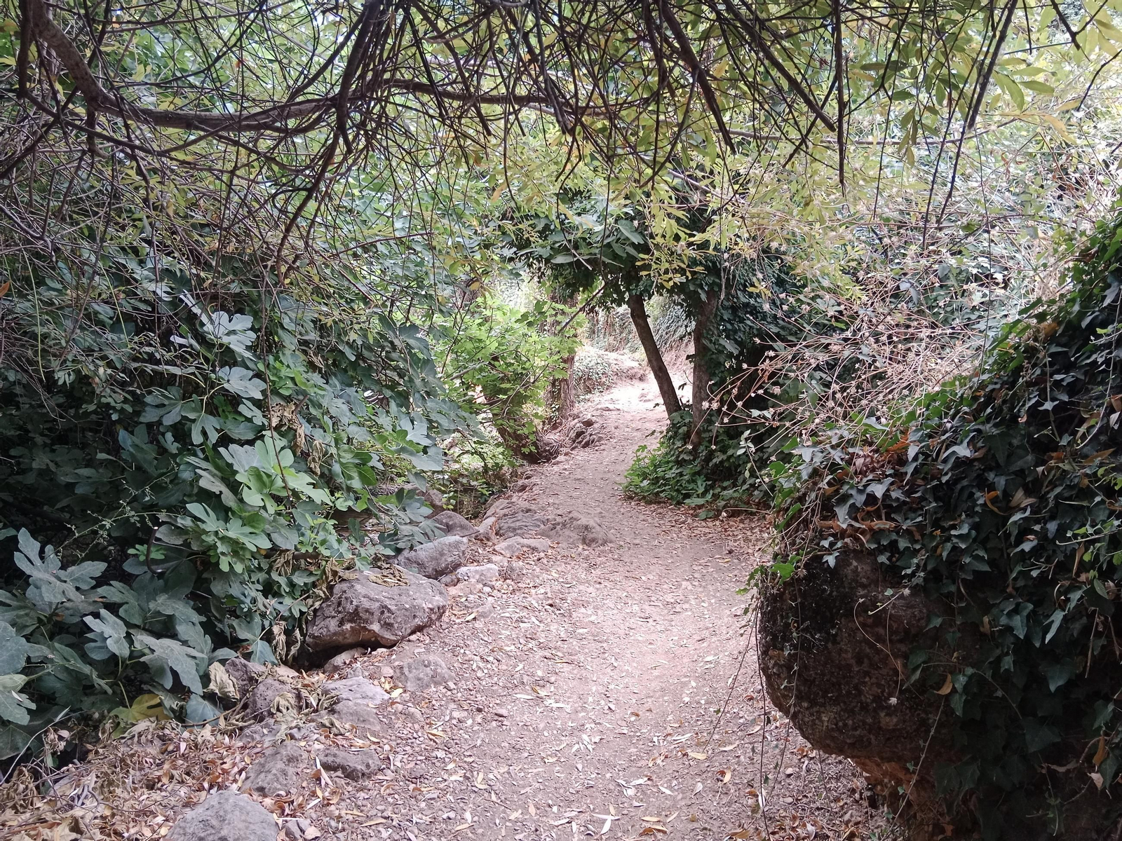 Así está en septiembre la preciosa cascada que puedes ver en Jaén