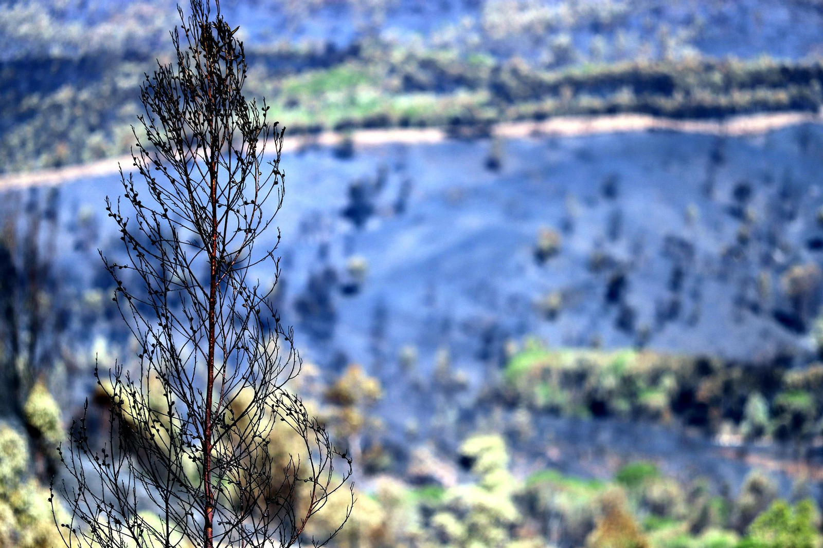 Imágenes de las zonas devastadas por el incendio de Almonaster la Real