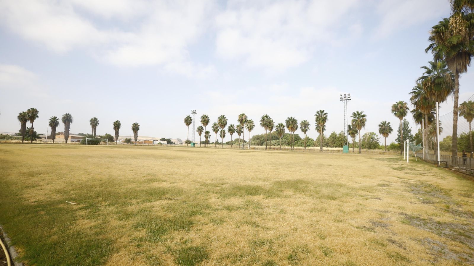 Aspecto del campo chico de la Ciudad Deportiva.
