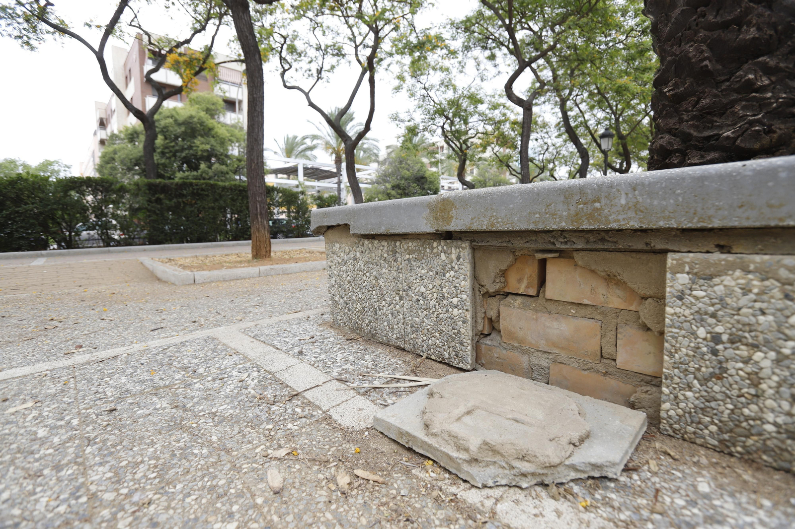 Imágenes del deterioro en la Avenida de Andalucía