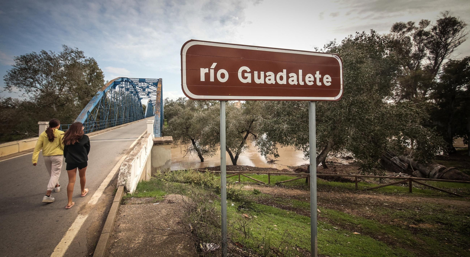 Imágenes de los destrozos tras el paso de la Dana por la campiña de Jerez